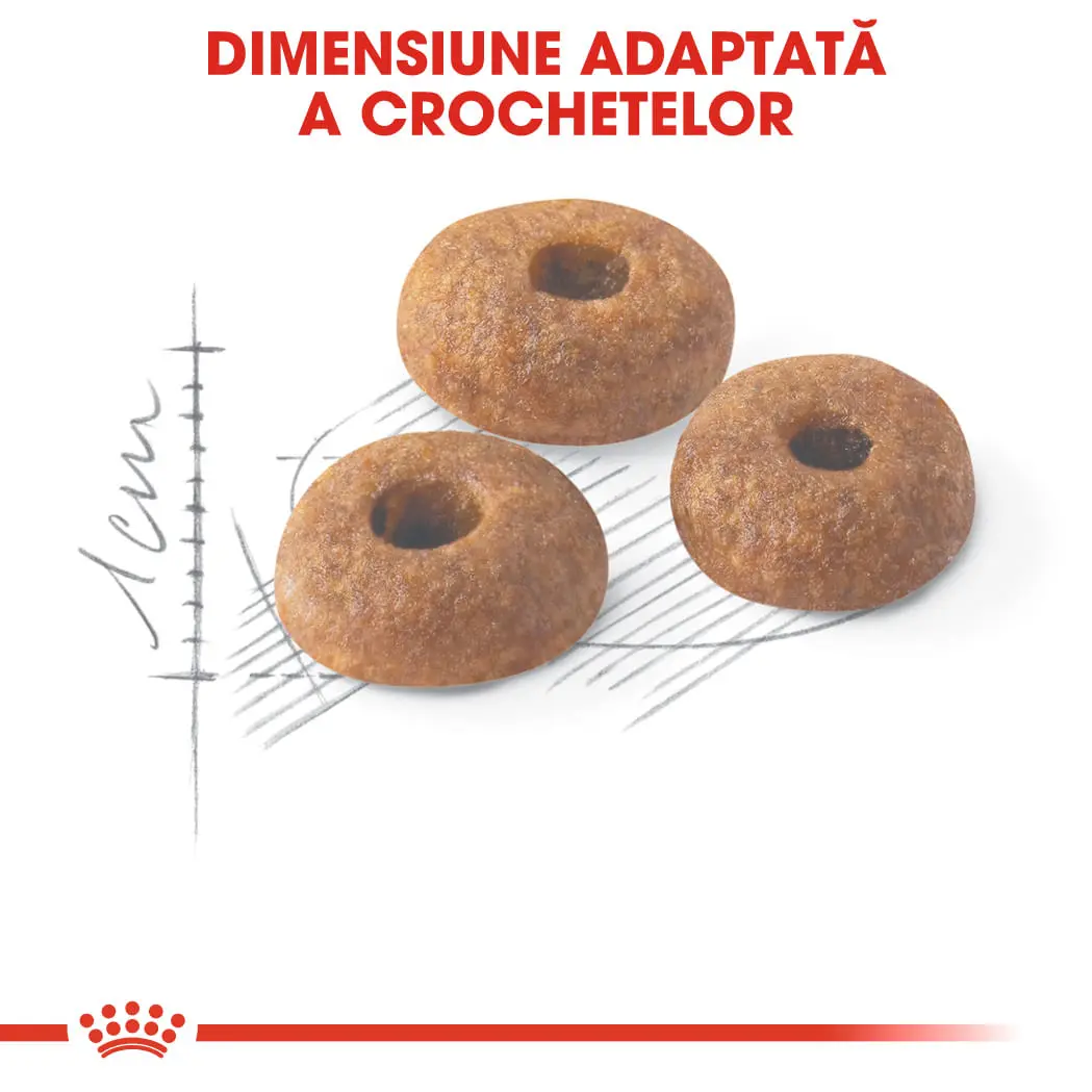 ROYAL CANIN Fit32 Adult, hrana uscata pisici, activitate fizica moderata, 10+2kg GRATUIT - Image 5