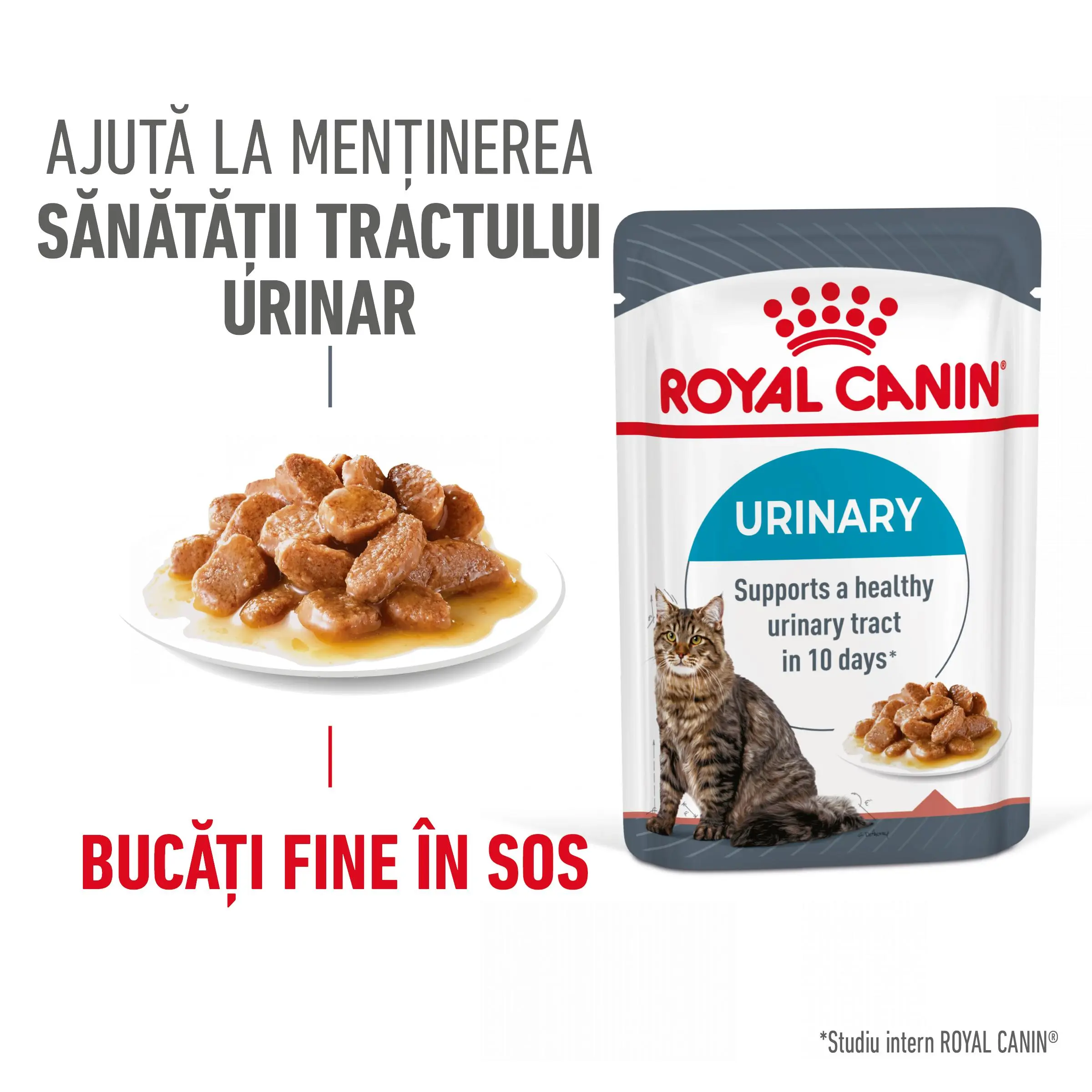 ROYAL CANIN Urinary Care Adult, hrana umeda pisici, sanatatea tractului urinar, (in sos), 85g