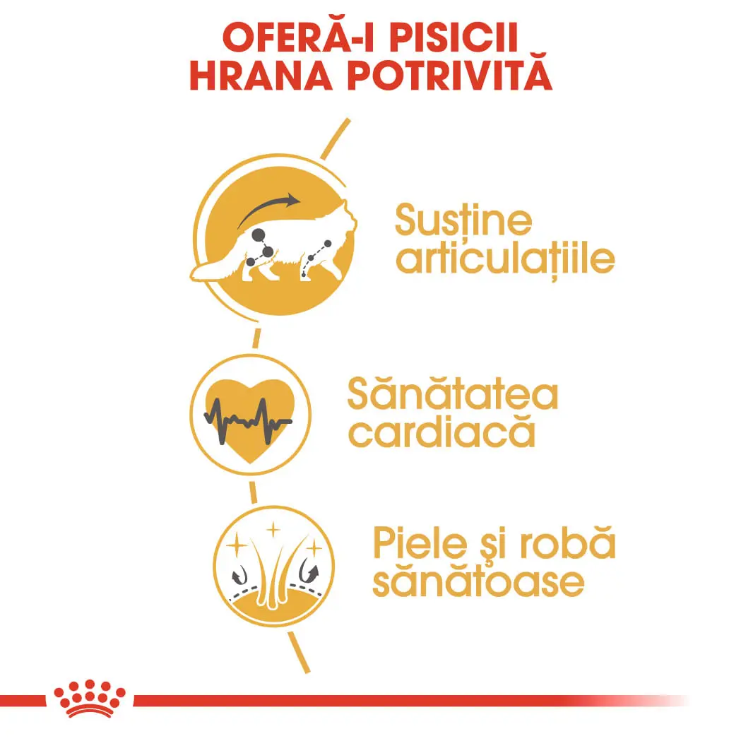 ROYAL CANIN Maine Coon Adult, hrana uscata pisici, 10kg - Image 5