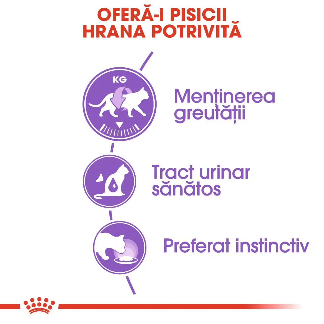 ROYAL CANIN Sterilised Adult, hrana umeda pisici sterilizate, (in sos), 85g - Image 4