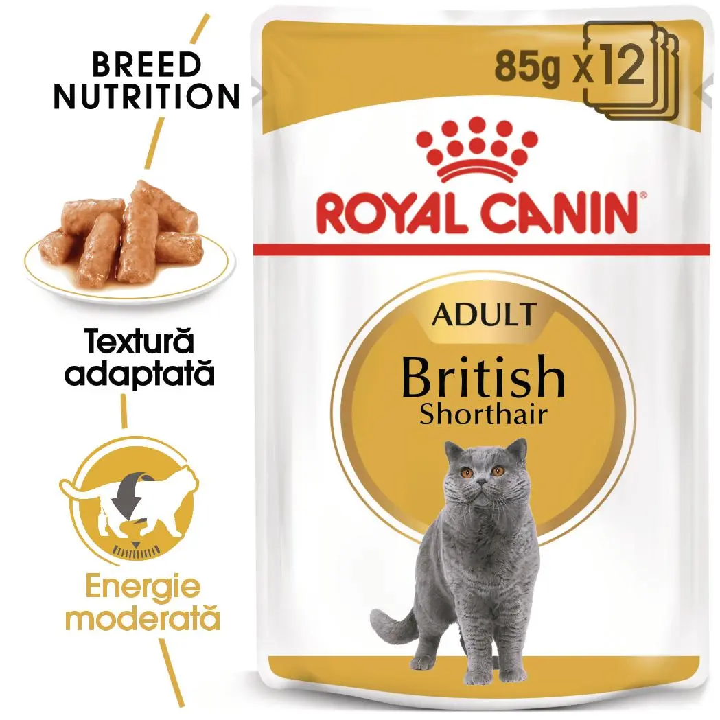 ROYAL CANIN British Shorthair Adult, hrana umeda pisici, (in sos), bax, 85g x 12buc - Image 2