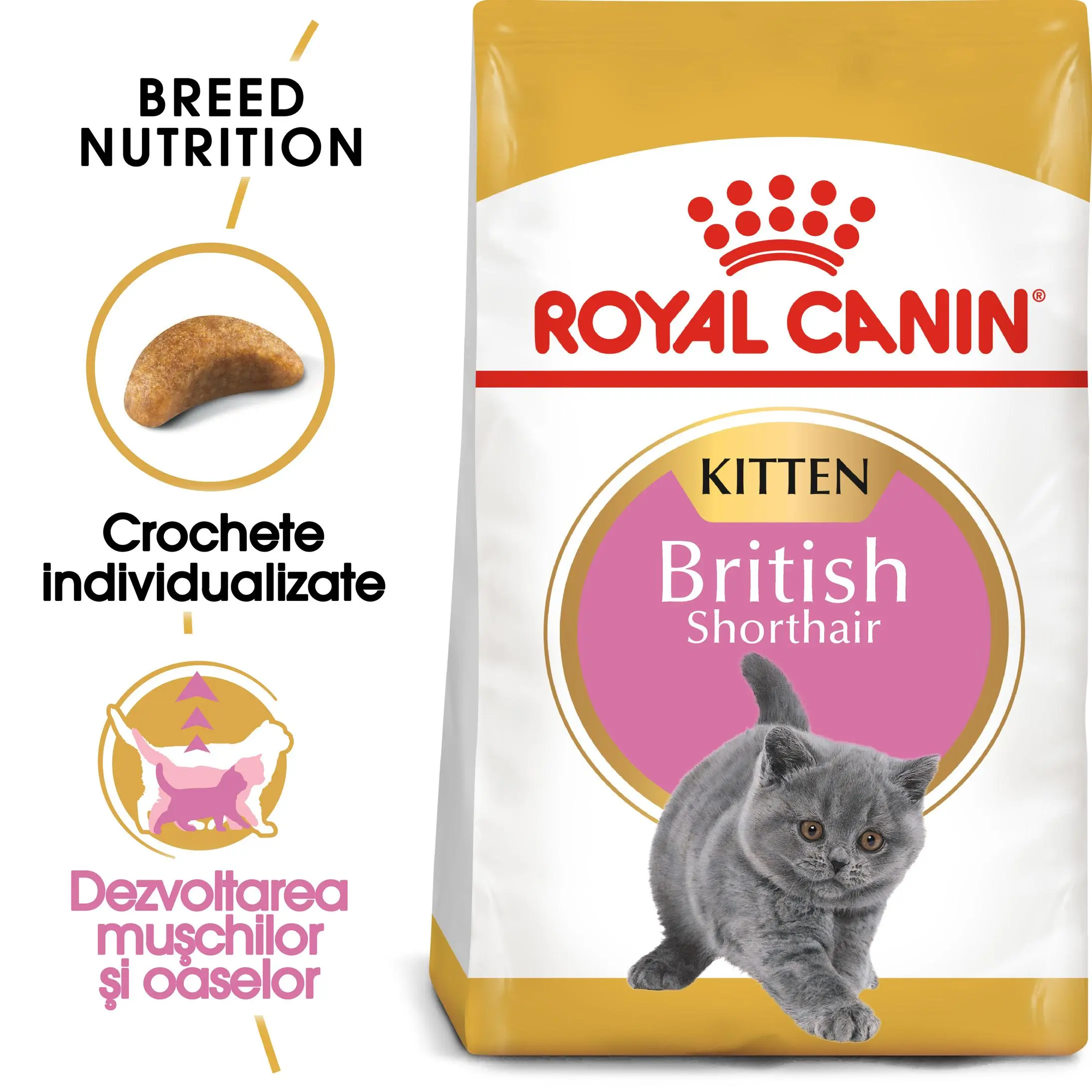 ROYAL CANIN British Shorthair Kitten, hrana uscata pisici junior, 2kg