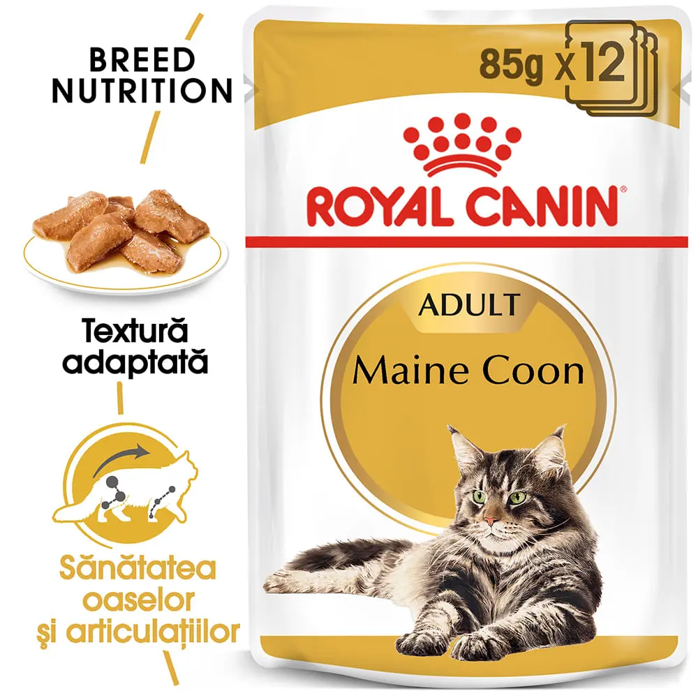 ROYAL CANIN Maine Coon Adult, hrana umeda pisici, (in sos), bax, 85g x 12buc