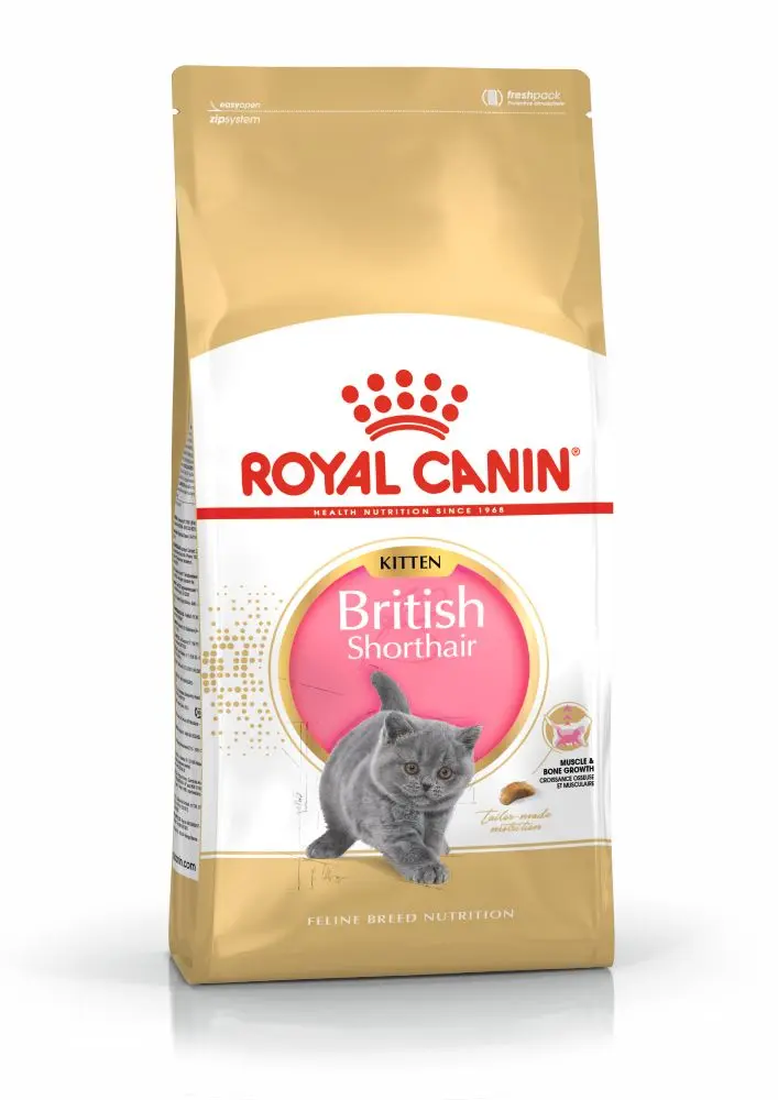 ROYAL CANIN British Shorthair Kitten, hrana uscata pisici junior, 2kg - Image 3