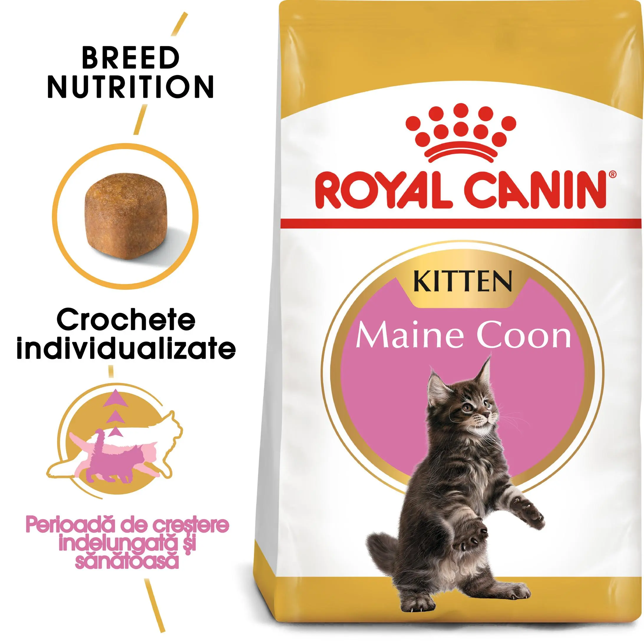 ROYAL CANIN Maine Coon Kitten, hrana uscata pisici junior, 10kg - Image 2