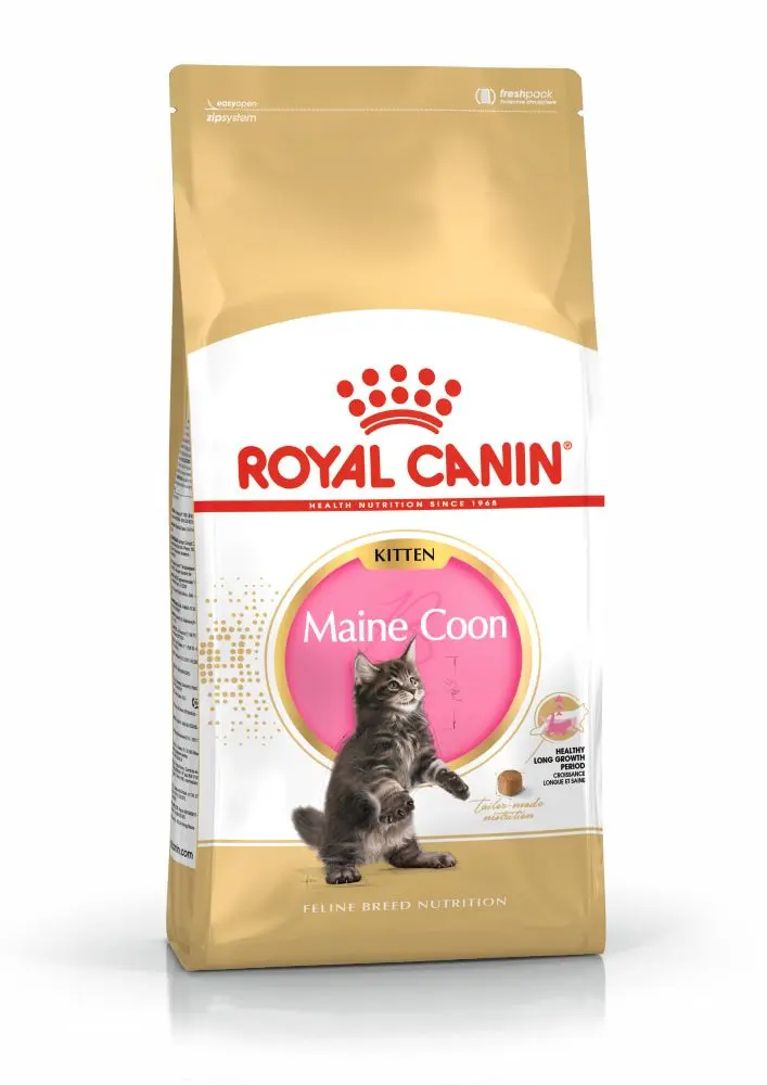 ROYAL CANIN Maine Coon Kitten, hrana uscata pisici junior, 10kg - Image 3