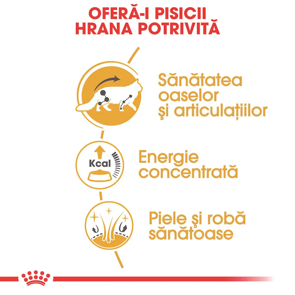 ROYAL CANIN Maine Coon Adult, hrana umeda pisici, (in sos), bax, 85g x 12buc - Image 5