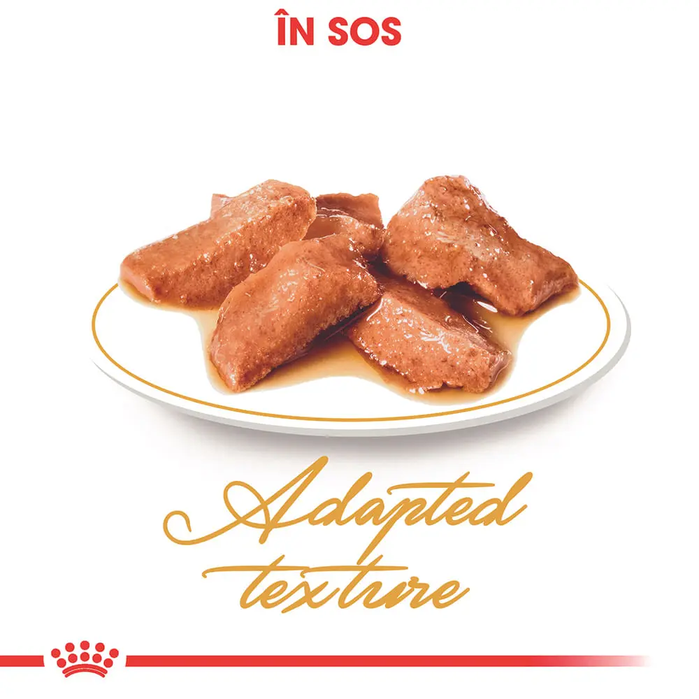 ROYAL CANIN Maine Coon Adult, hrana umeda pisici, (in sos), bax, 85g x 12buc - Image 6