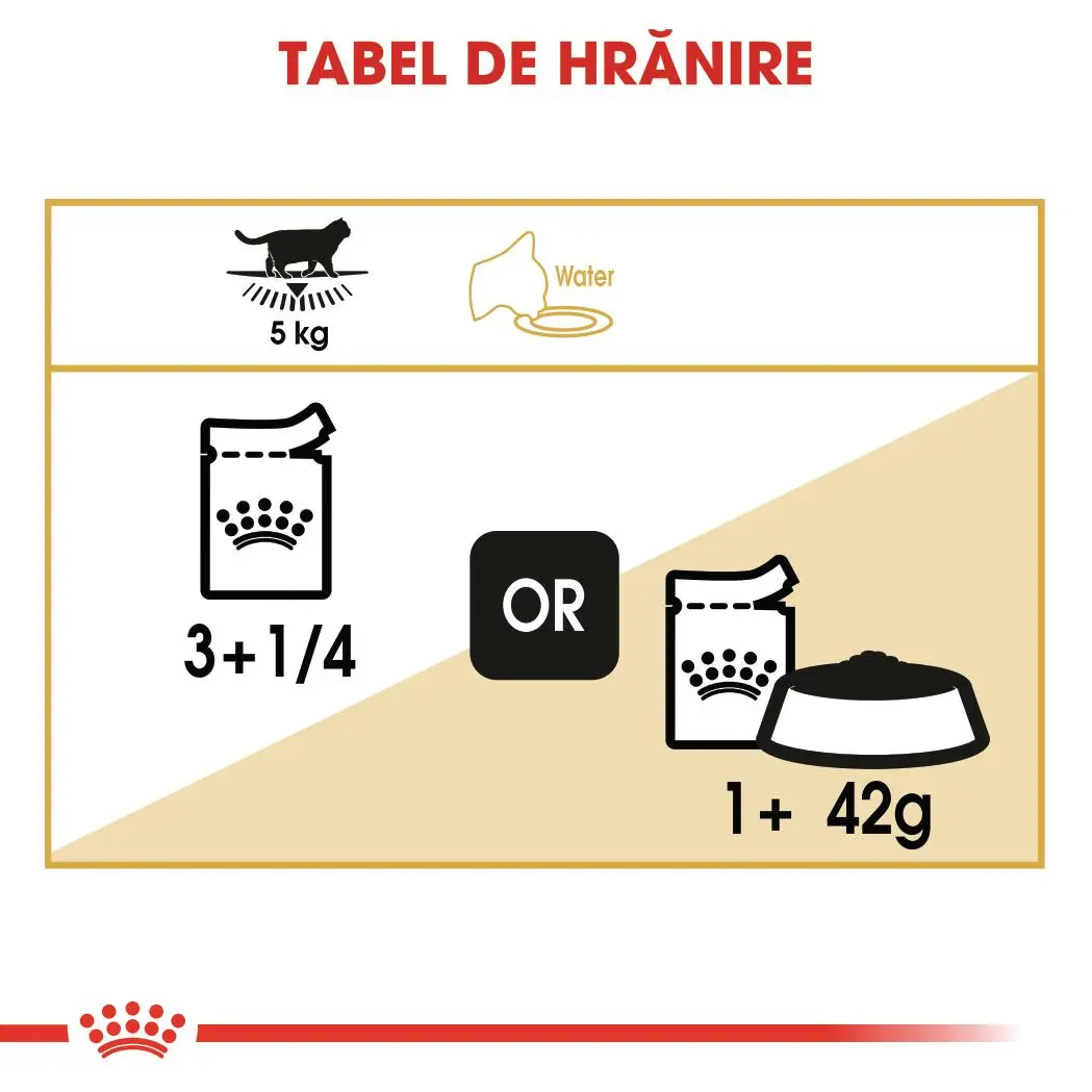 ROYAL CANIN British Shorthair Adult, hrana umeda pisici, (in sos), bax, 85g x 12buc - Image 7