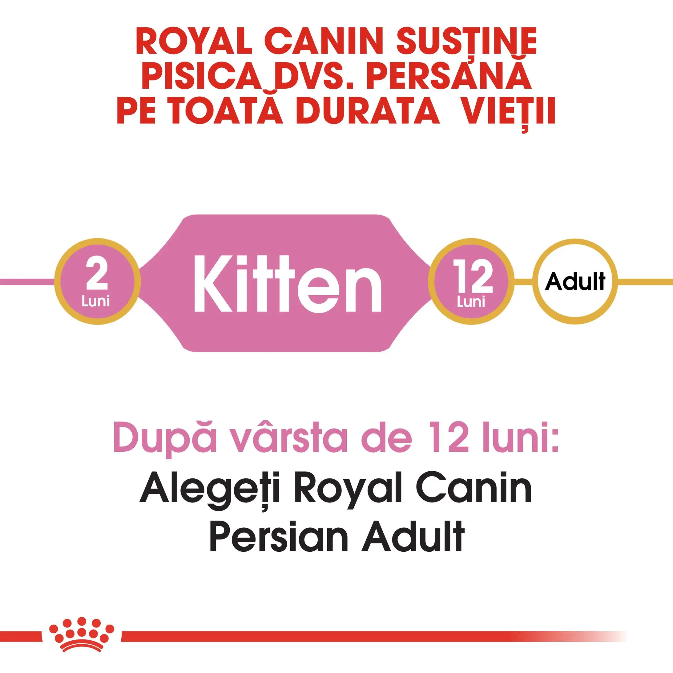 ROYAL CANIN Persian Kitten, hrana uscata pisici junior, 2kg - Image 8