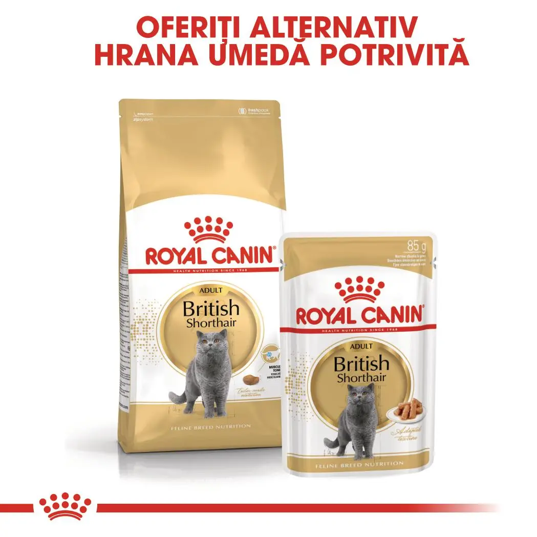 ROYAL CANIN British Shorthair Adult, hrana umeda pisici, (in sos), bax, 85g x 12buc - Image 8