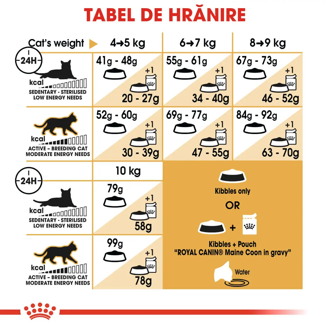 ROYAL CANIN Maine Coon Adult, hrana uscata pisici, 4kg - Image 8