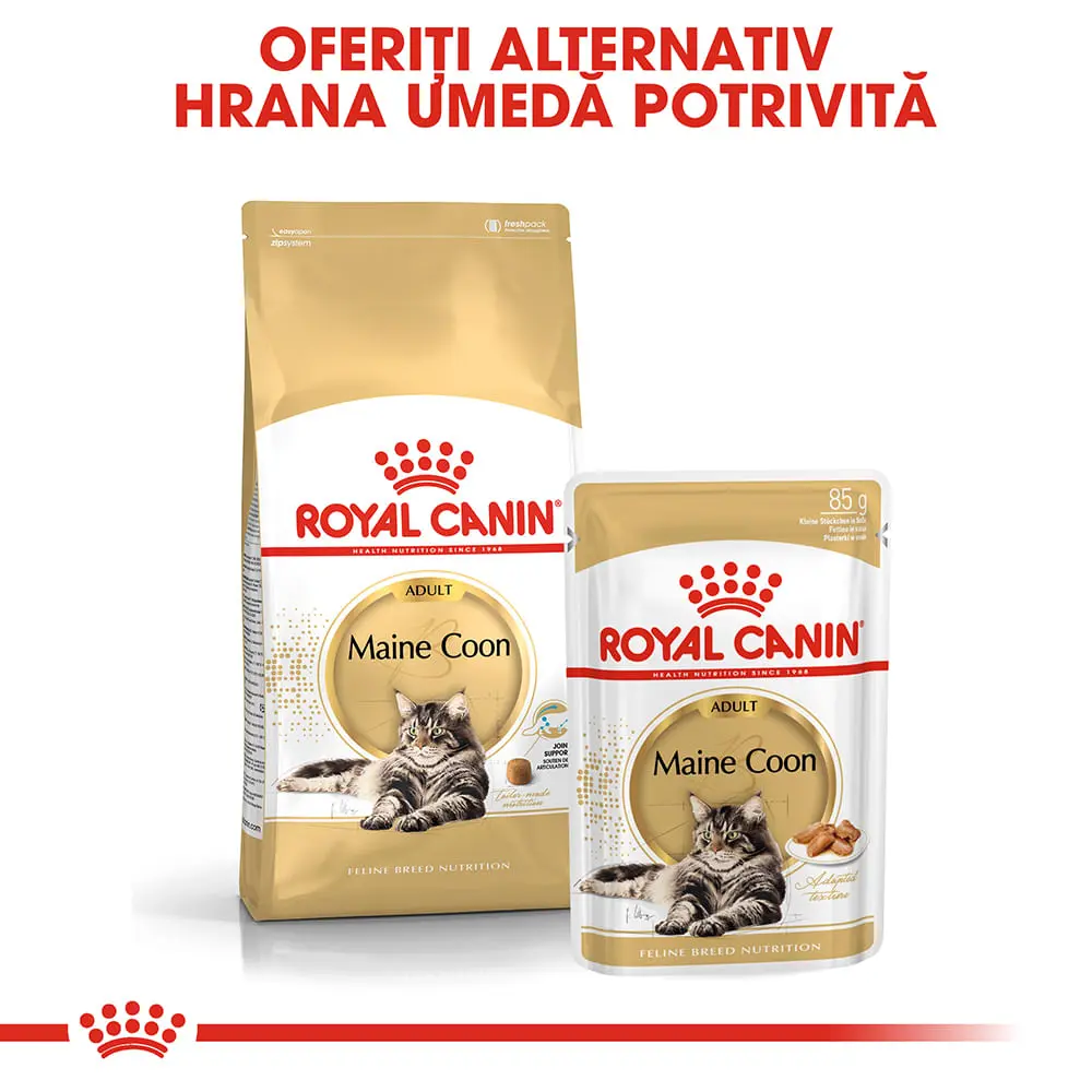 ROYAL CANIN Maine Coon Adult, hrana umeda pisici, (in sos), bax, 85g x 12buc - Image 9