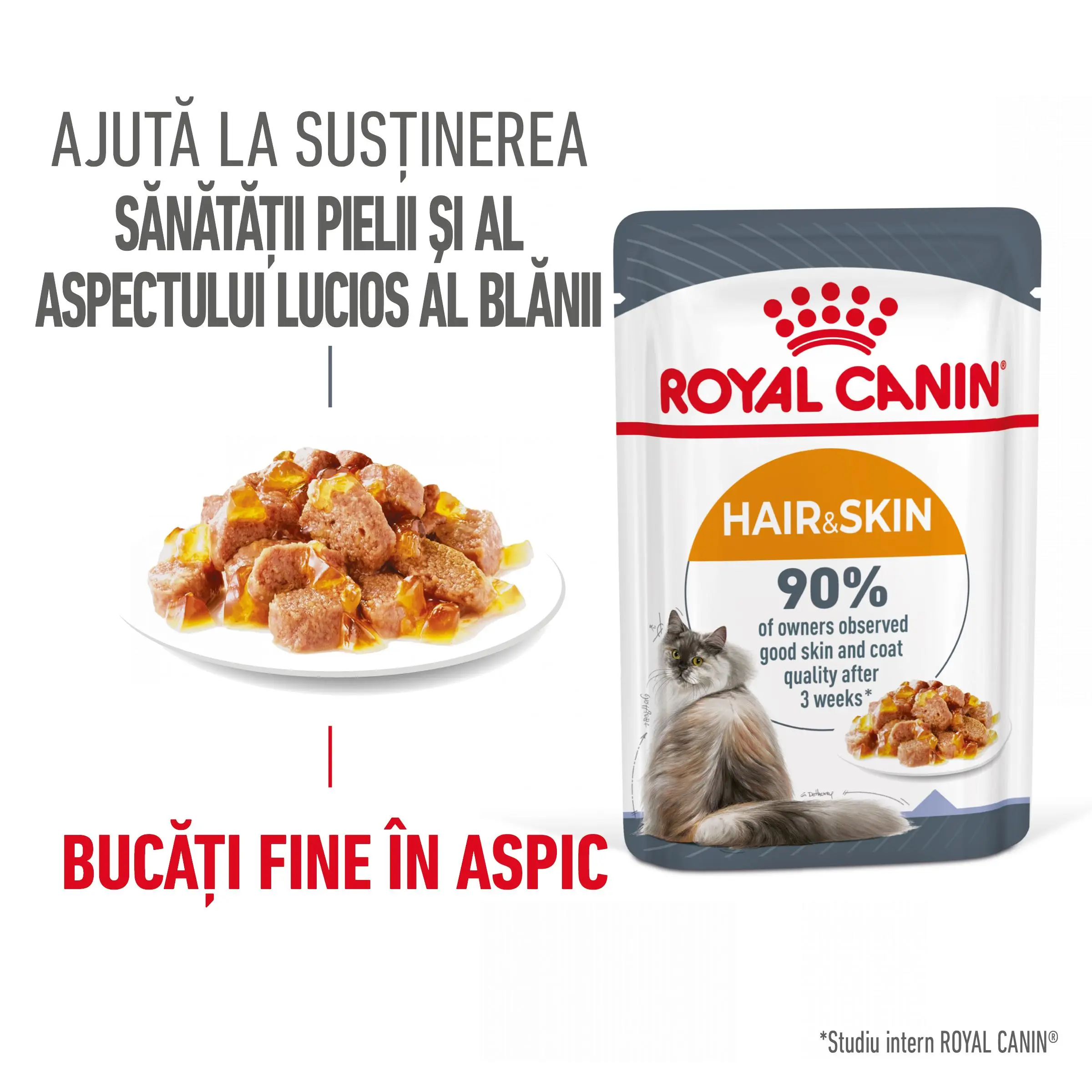 ROYAL CANIN Hair&Skin Care Adult hrana umeda pisici piele & blana (in aspic), 85g - Image 2