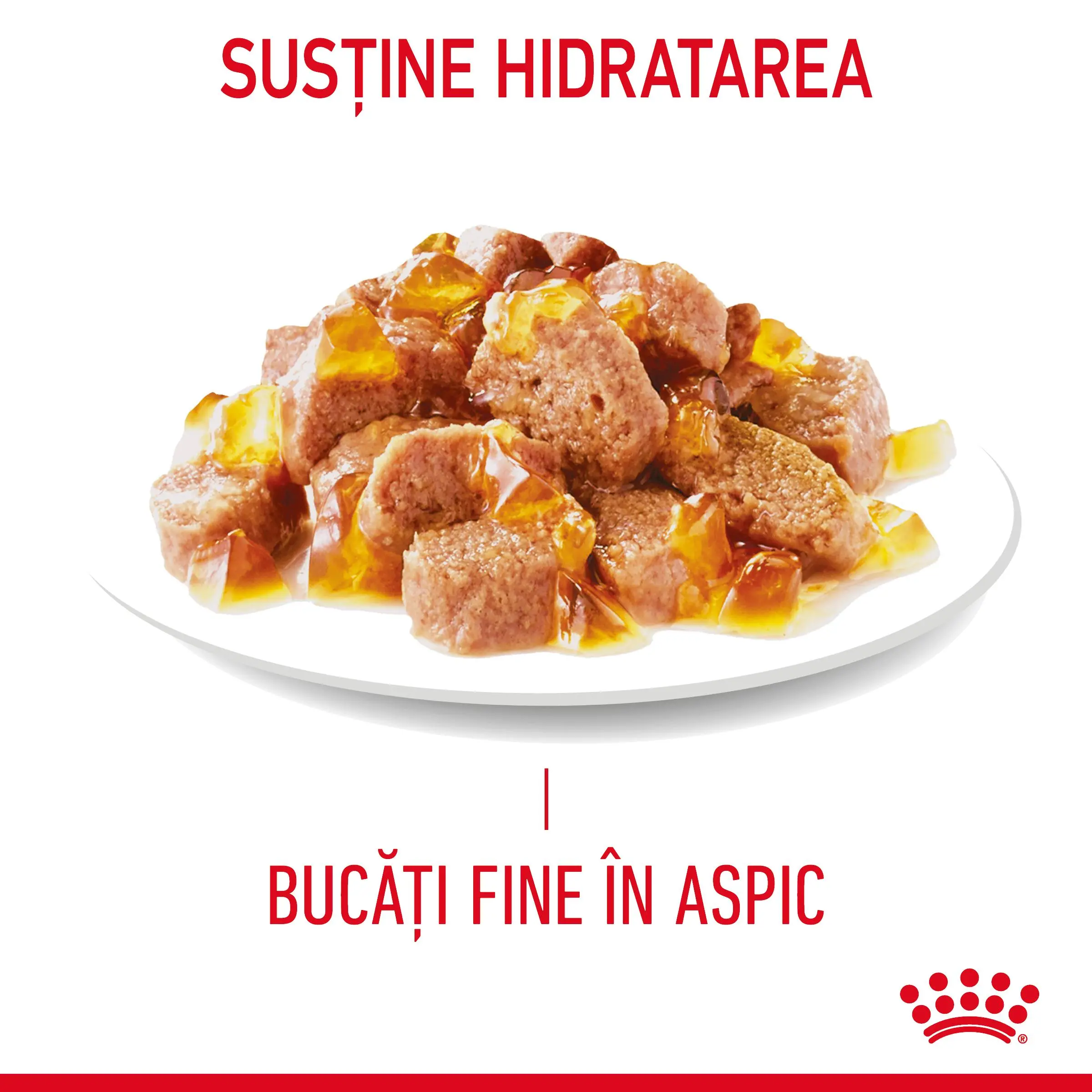 ROYAL CANIN Hair&Skin Care Adult hrana umeda pisici piele & blana (in aspic), 85g - Image 4