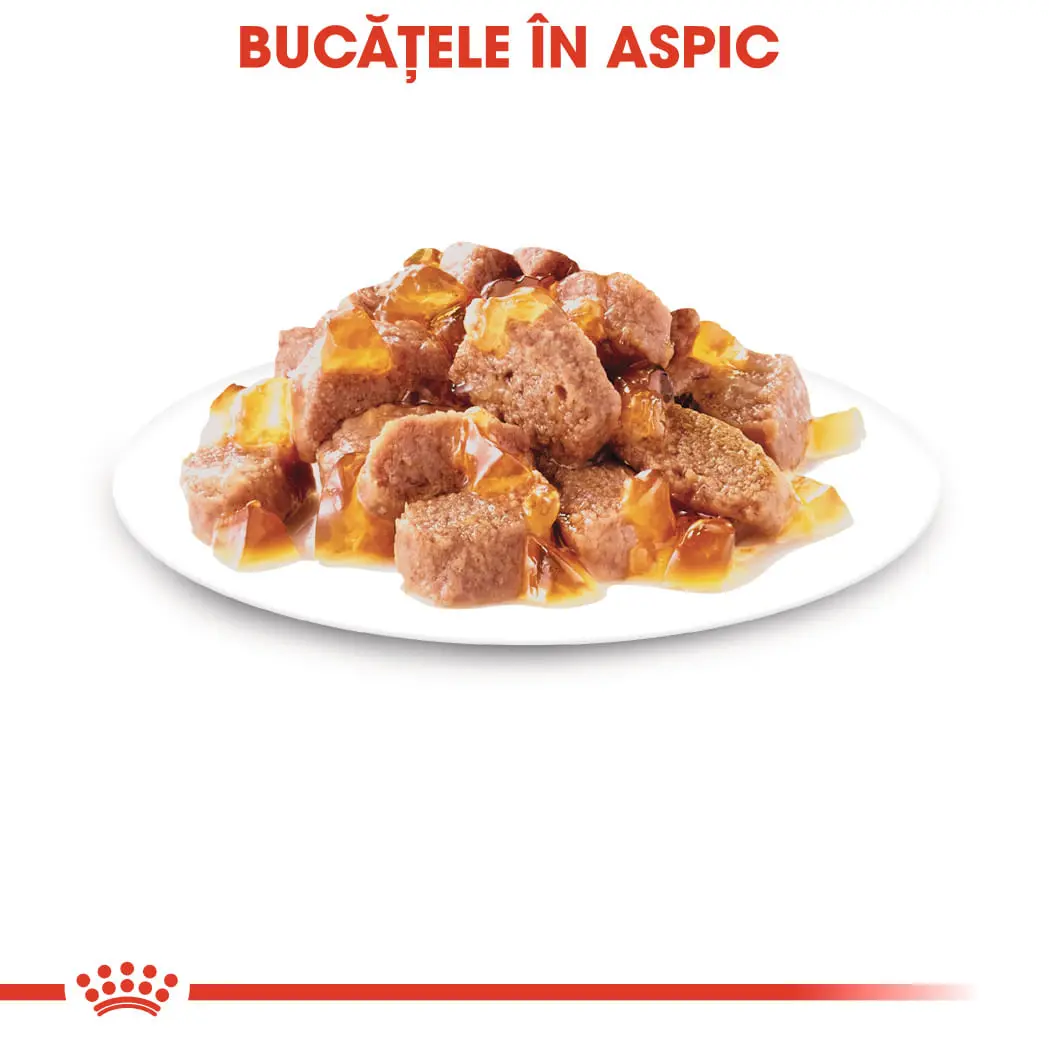 ROYAL CANIN Sterilised Adult hrana umeda pisici sterilizate (in aspic), 85g - Image 5