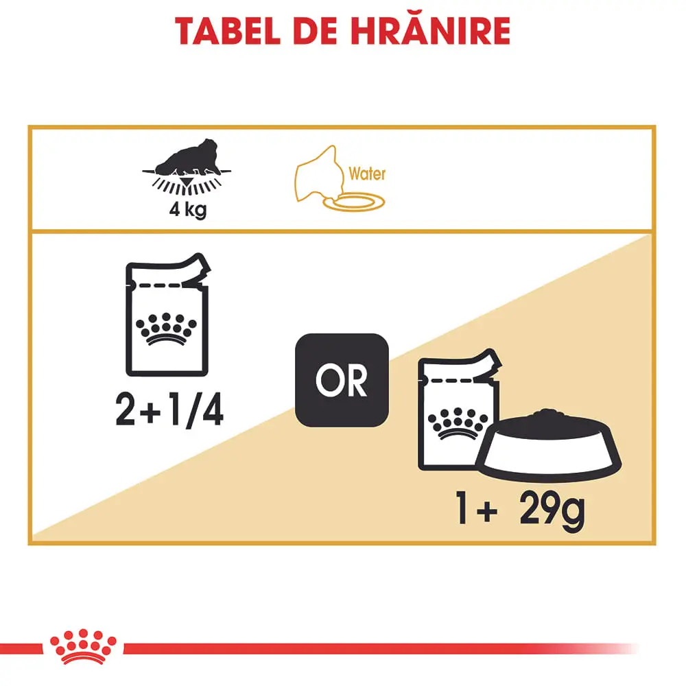 ROYAL CANIN Persian Adult, hrana umeda pisici, (pate), 85g - Image 7