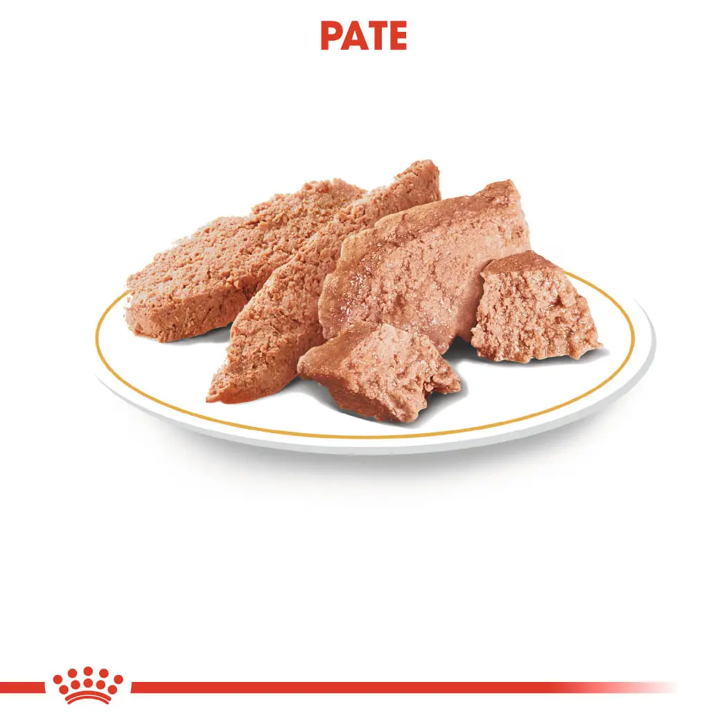ROYAL CANIN Yorkshire Adult hrana umeda caini (pate), bax, 85g x 12buc - Image 5