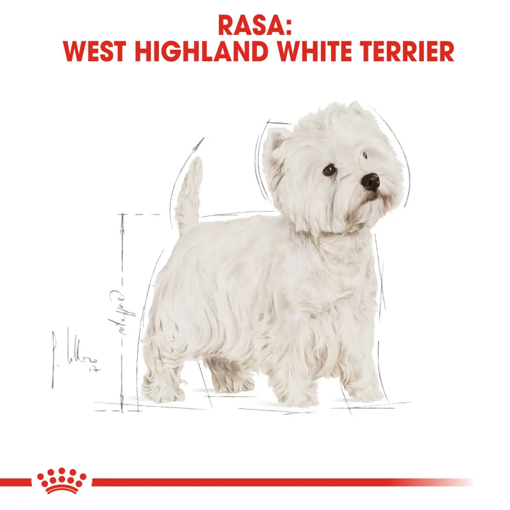 ROYAL CANIN West Highland Terrier Adult, hrana uscata caini, 3kg - Image 4
