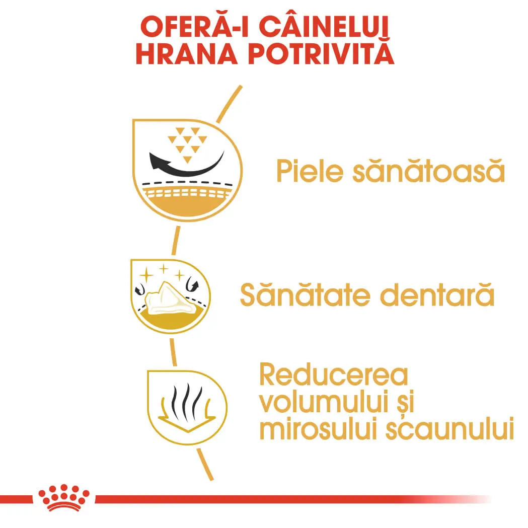ROYAL CANIN Shih Tzu Adult, hrana uscata caini, 3kg - Image 5