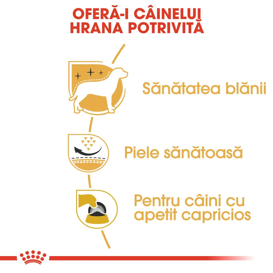 ROYAL CANIN West Highland Terrier Adult, hrana uscata caini, 3kg - Image 5