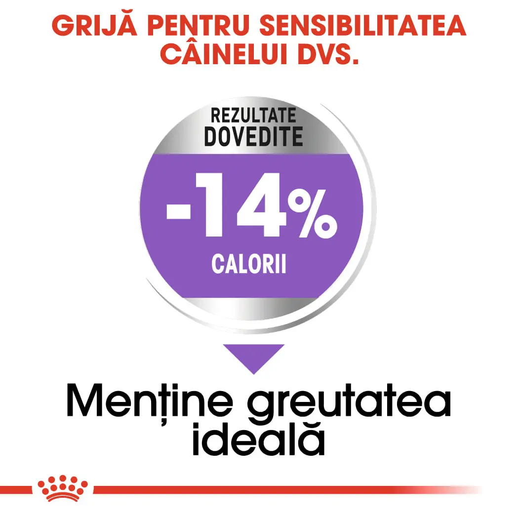 ROYAL CANIN Mini Sterilised Adult, hrana uscata caini sterilizati, 1kg - Image 5