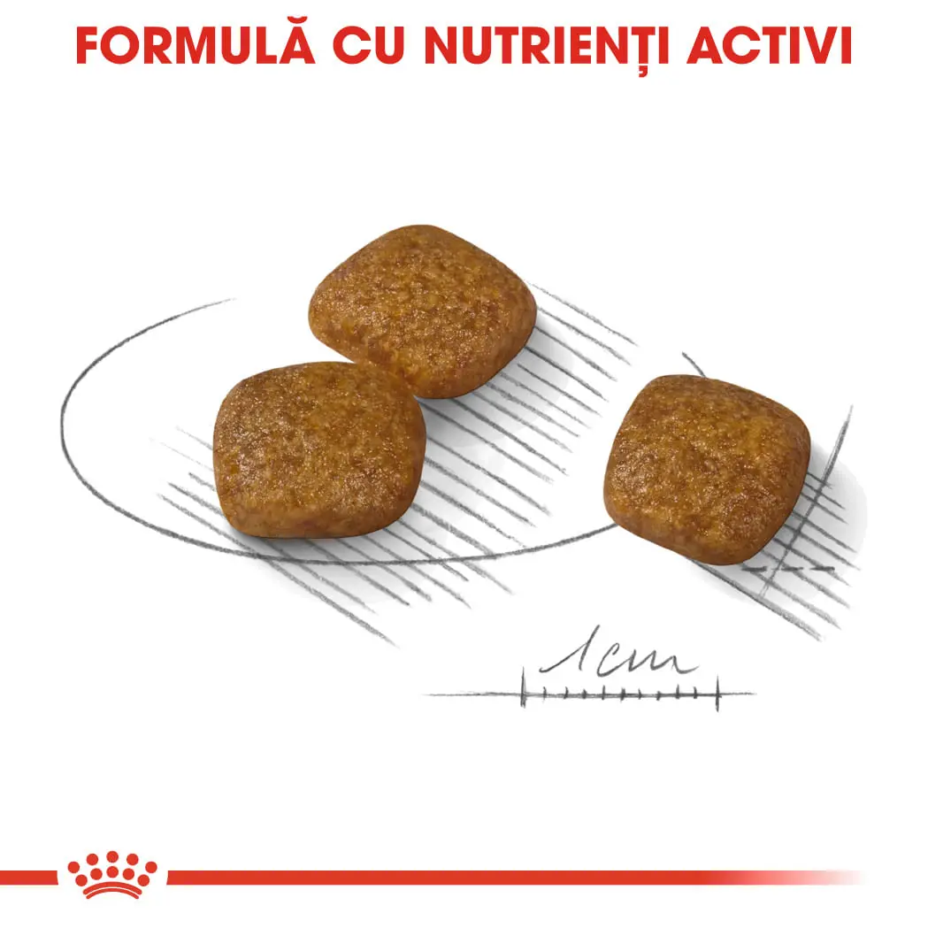 ROYAL CANIN Mini Urinary Care, hrana uscata caini, sanatatea tractului urinar, 1kg - Image 6