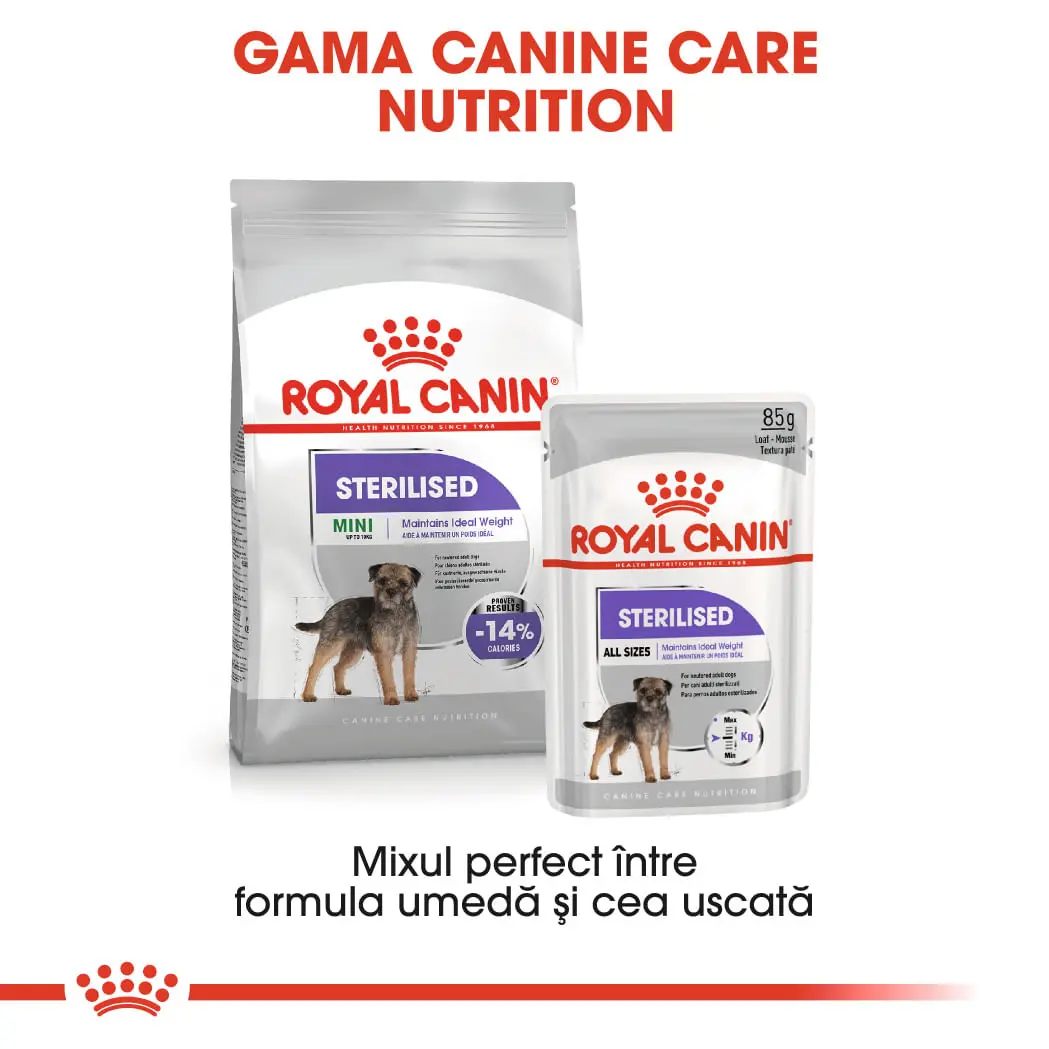 ROYAL CANIN Mini Sterilised Adult, hrana uscata caini sterilizati, 1kg - Image 9