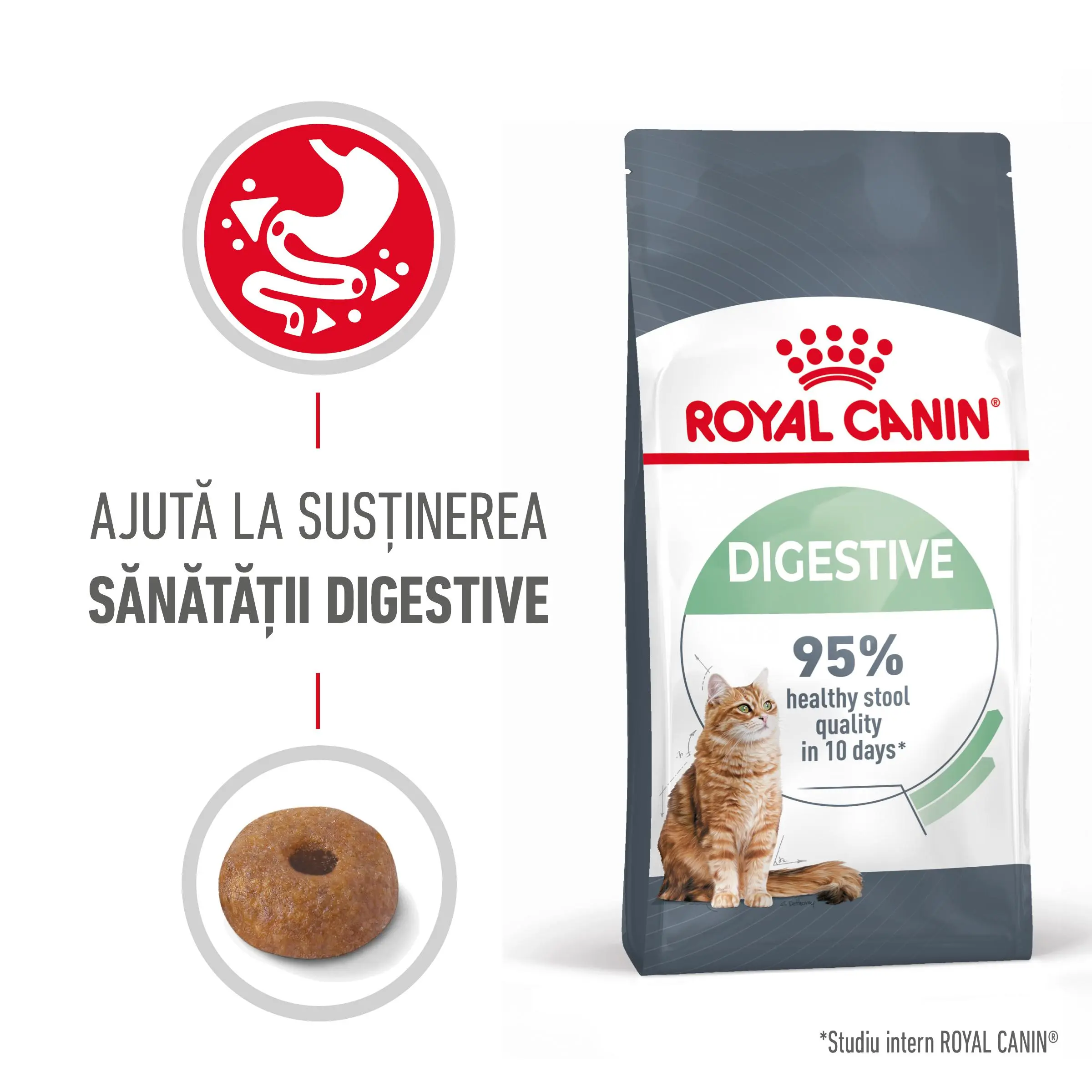 ROYAL CANIN Digestive Care Adult, hrana uscata pisici, confort digestiv, 400g - Image 2