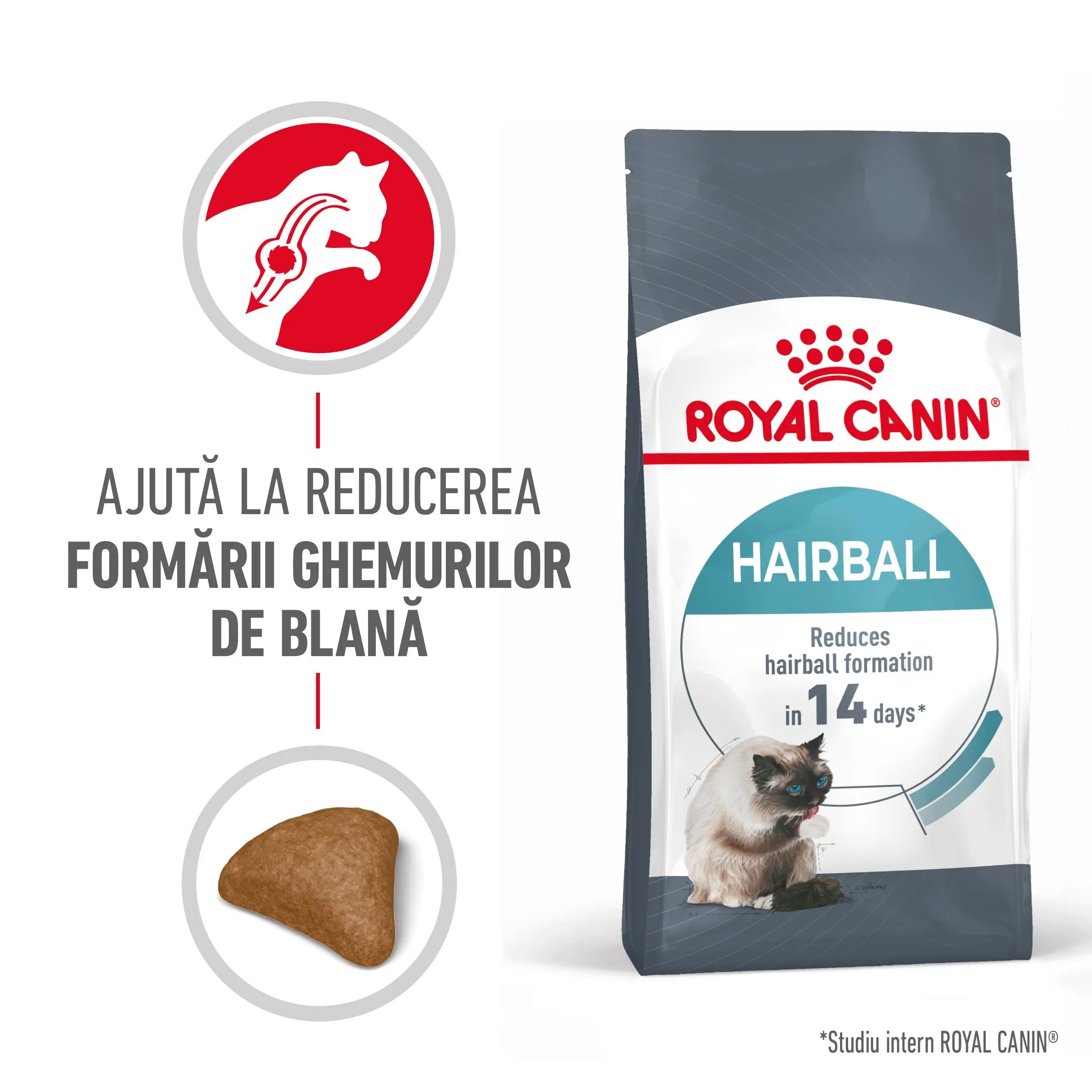 ROYAL CANIN Hairball Care Adult, hrana uscata pisici, limitarea ghemurilor de blana, 400g
