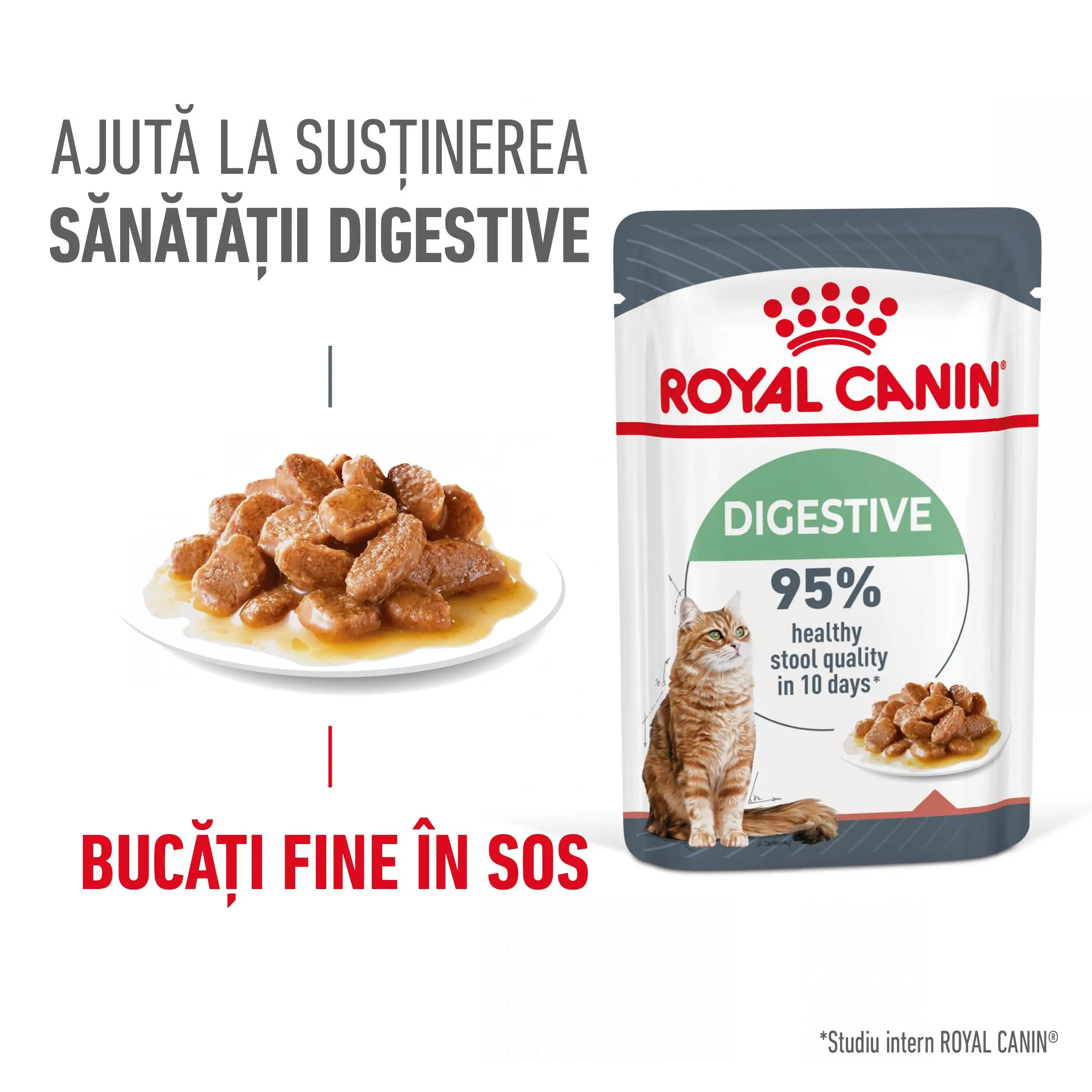 ROYAL CANIN Digest Sensitive Care Adult, hrana umeda pisici, confort digestiv, (in sos), 85g