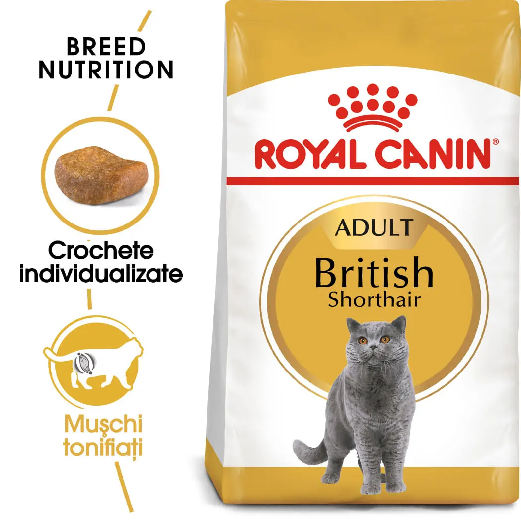 ROYAL CANIN British Shorthair Adult, hrana uscata pisici, 400g