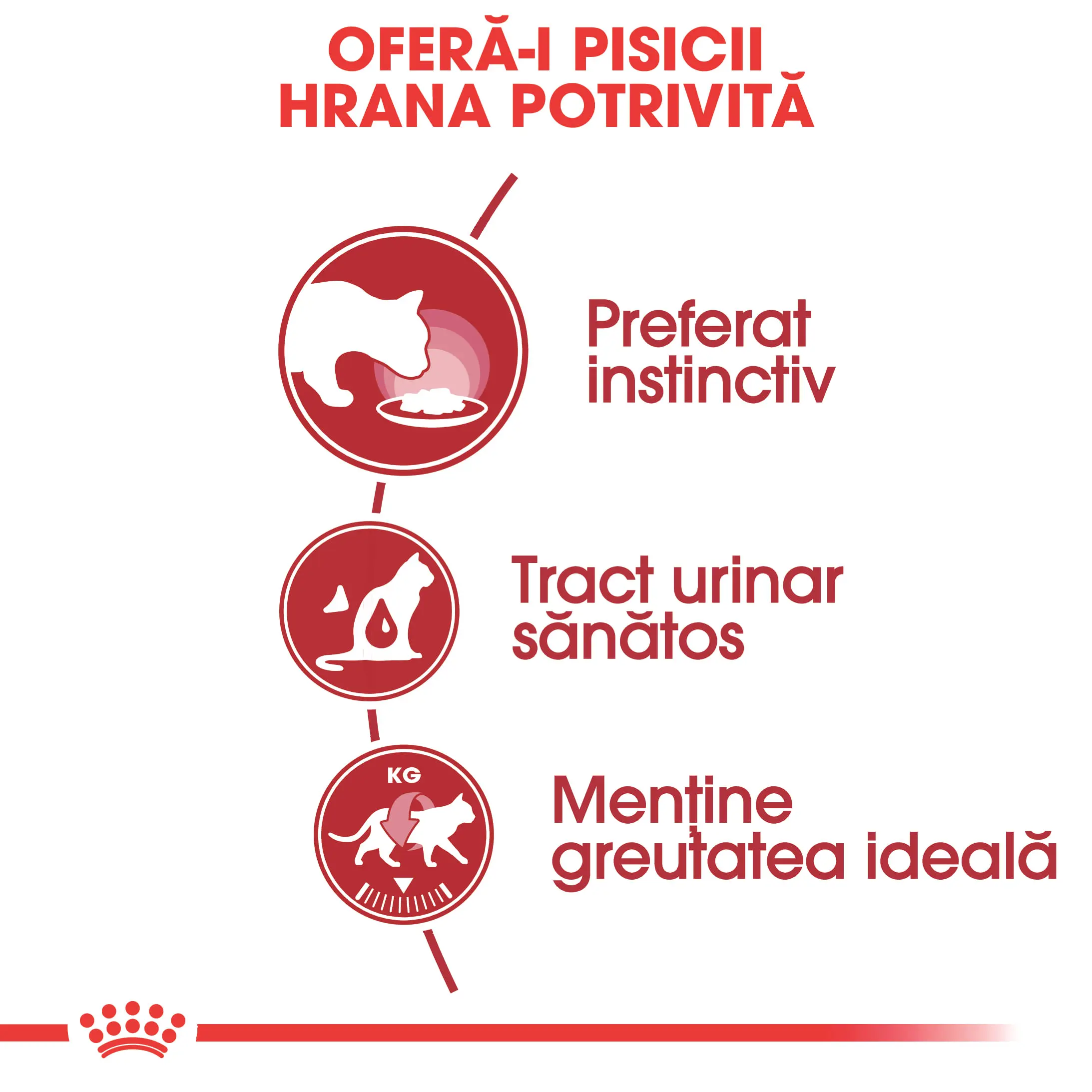 ROYAL CANIN Instinctive Adult, hrana umeda pisici, (in sos), 85g - Image 3