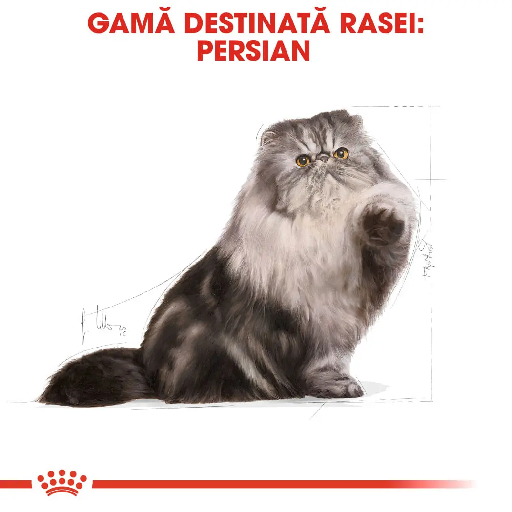 ROYAL CANIN Persian Adult, hrana uscata pisici, 400g - Image 4