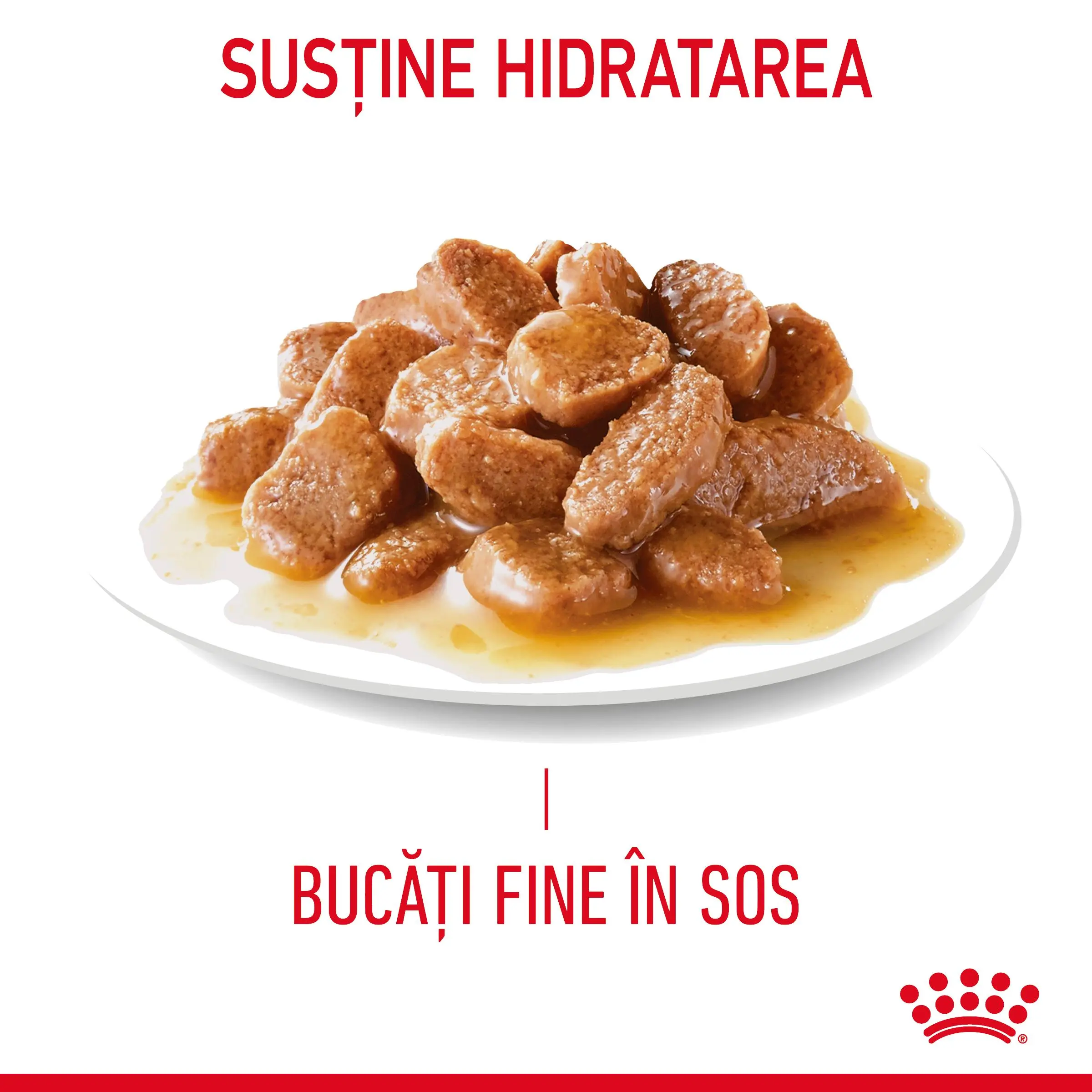 ROYAL CANIN Digest Sensitive Care Adult, hrana umeda pisici, confort digestiv, (in sos), 85g - Image 4