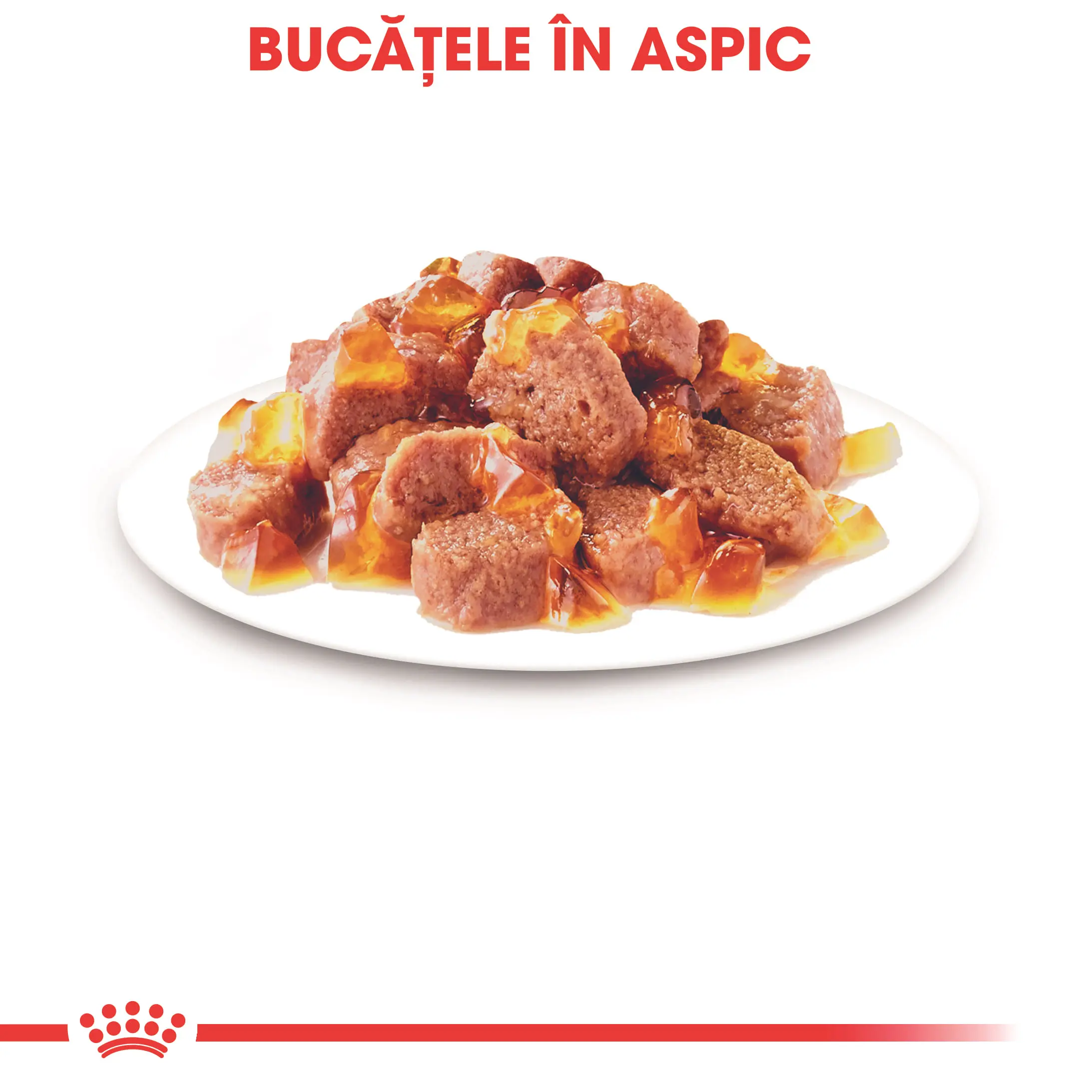ROYAL CANIN Instinctive Adult, hrana umeda pisici, (in aspic), 85g - Image 4