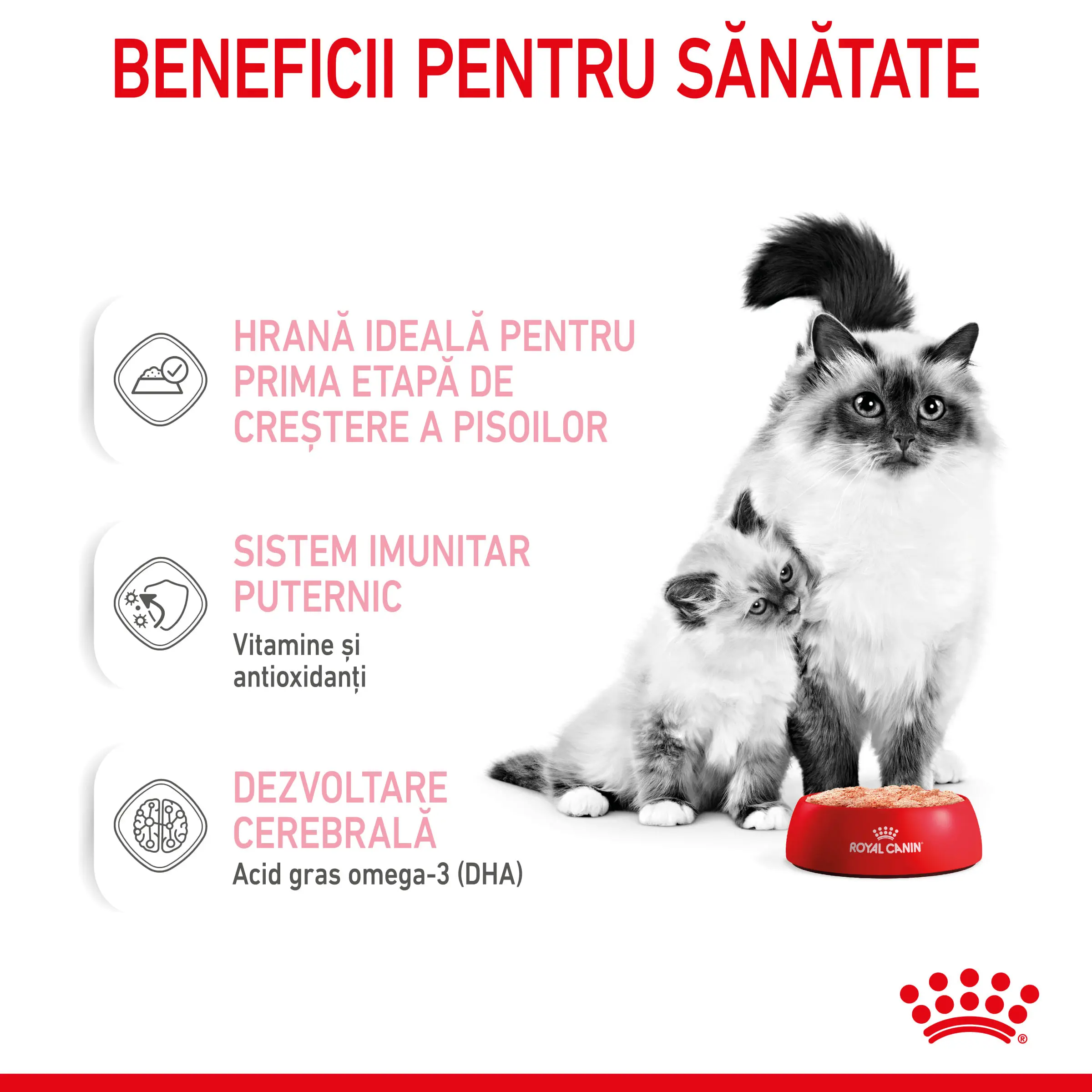ROYAL CANIN Mother & BabyCat, hrana umeda pisici, mama si puiul, (mousse), 195g - Image 4