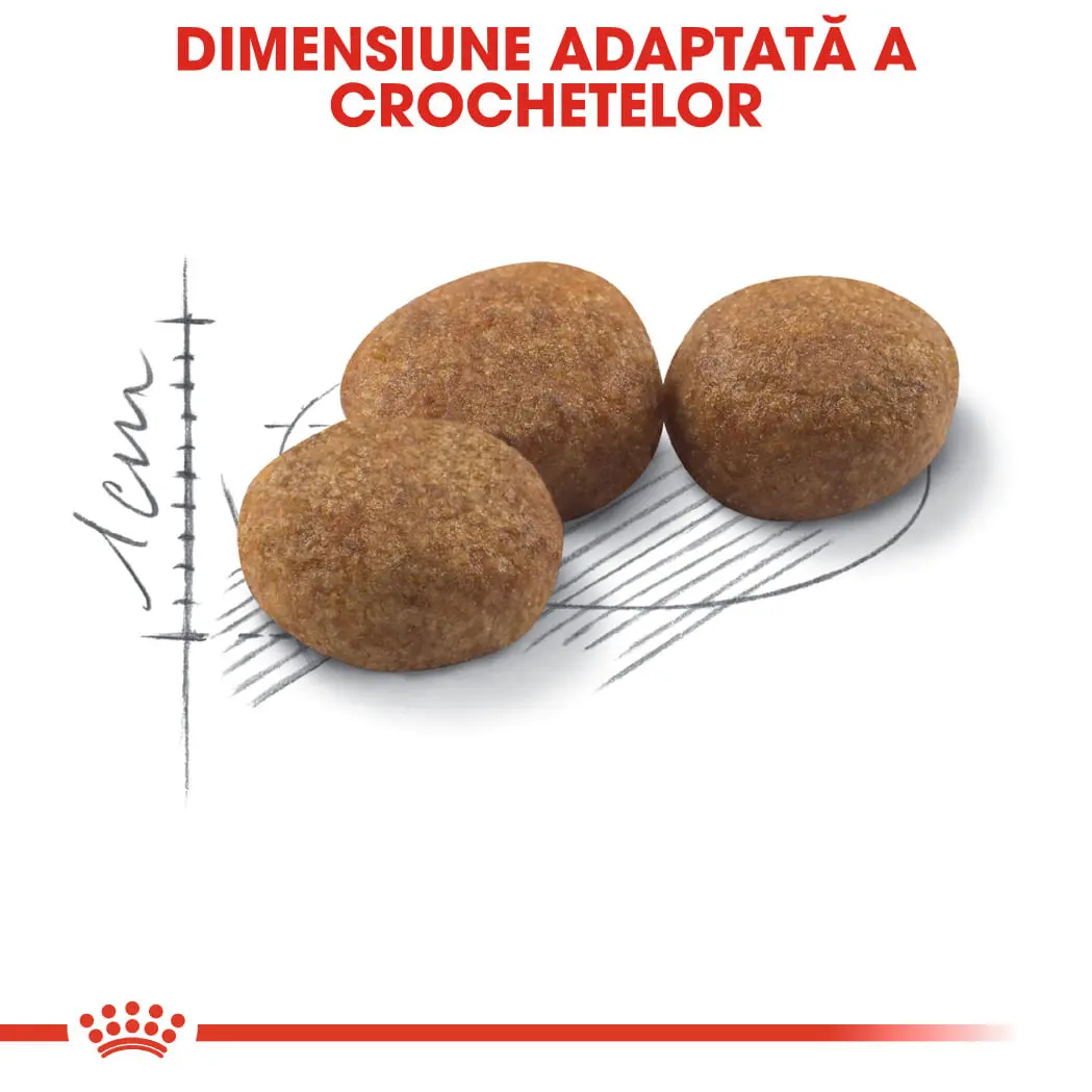 ROYAL CANIN Sterilised Adult, hrana uscata pisici sterilizate, 400g - Image 5