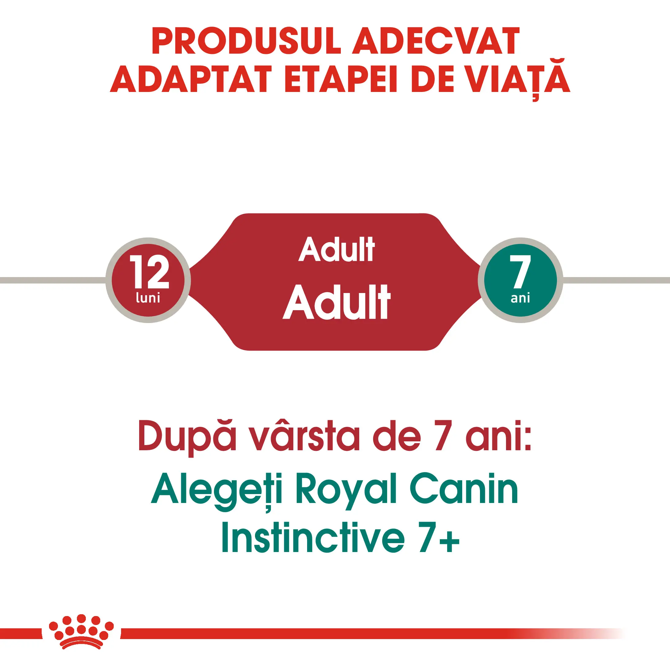 ROYAL CANIN Instinctive Adult, hrana umeda pisici, (in sos), 85g - Image 7