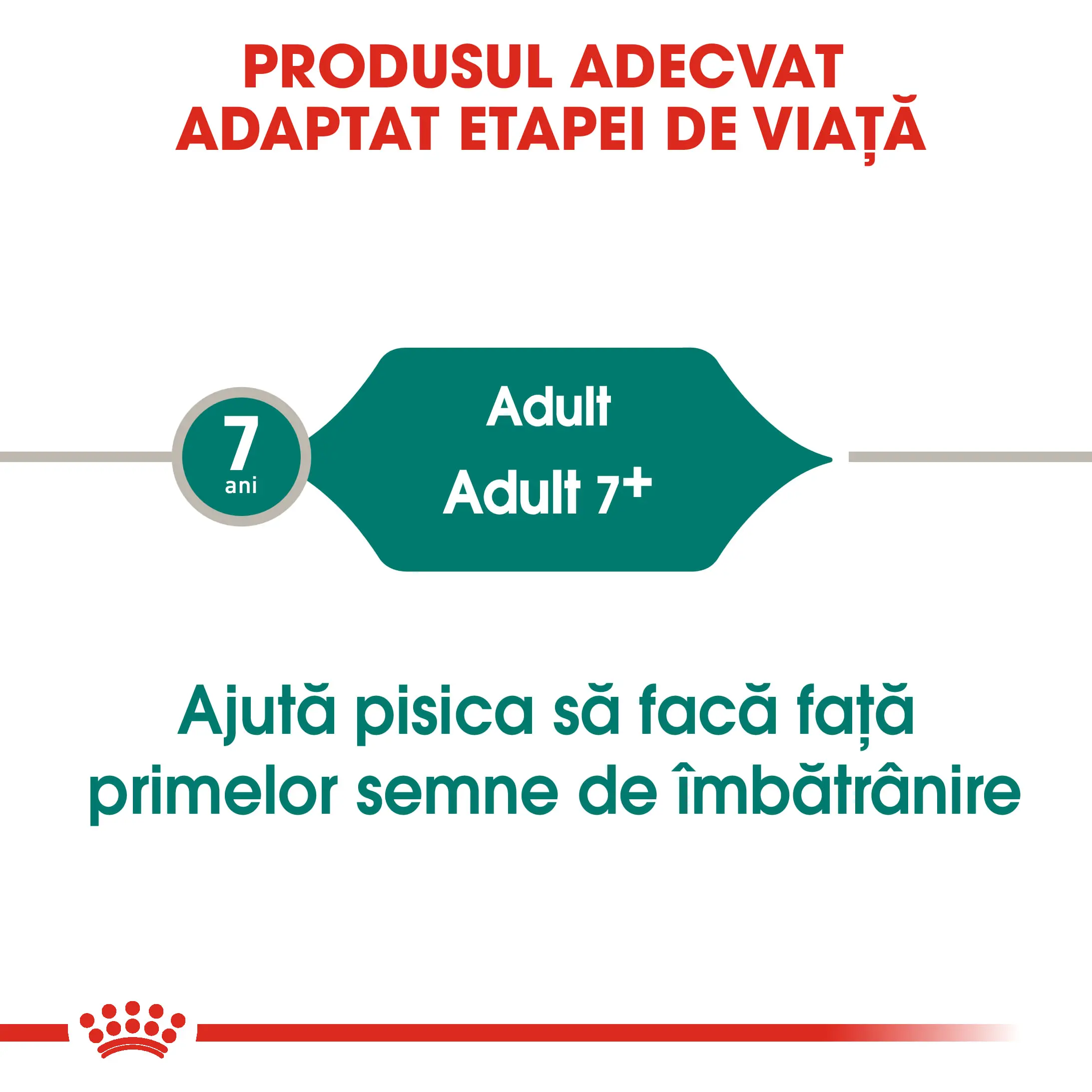 ROYAL CANIN Instinctive 7+, hrana umeda pisici, (in sos), 85g - Image 8