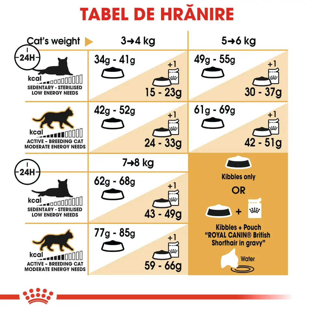ROYAL CANIN British Shorthair Adult, hrana uscata pisici, 400g - Image 8