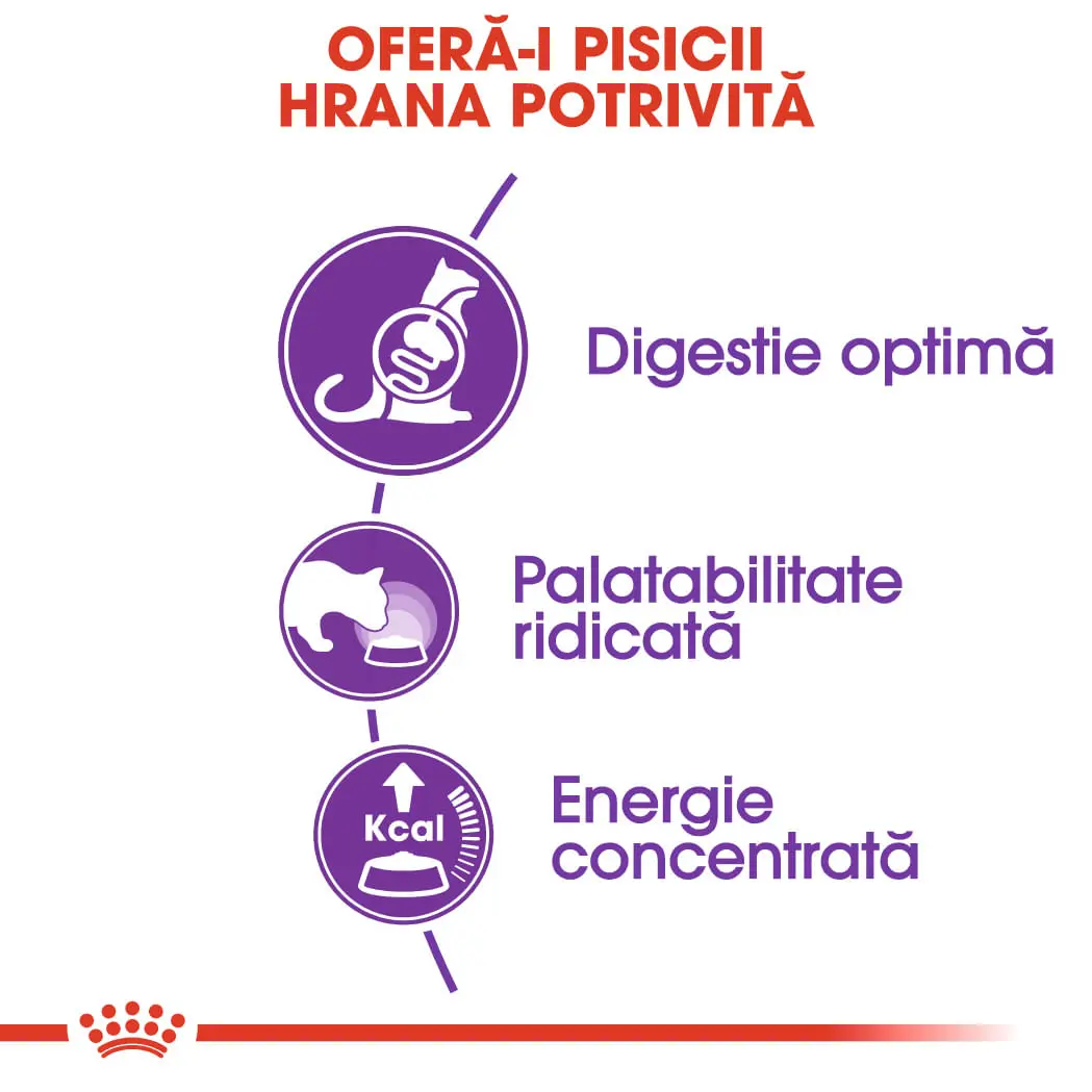 ROYAL CANIN Sensible Adult, hrana uscata pisici, digestie optima, 2kg - Image 4