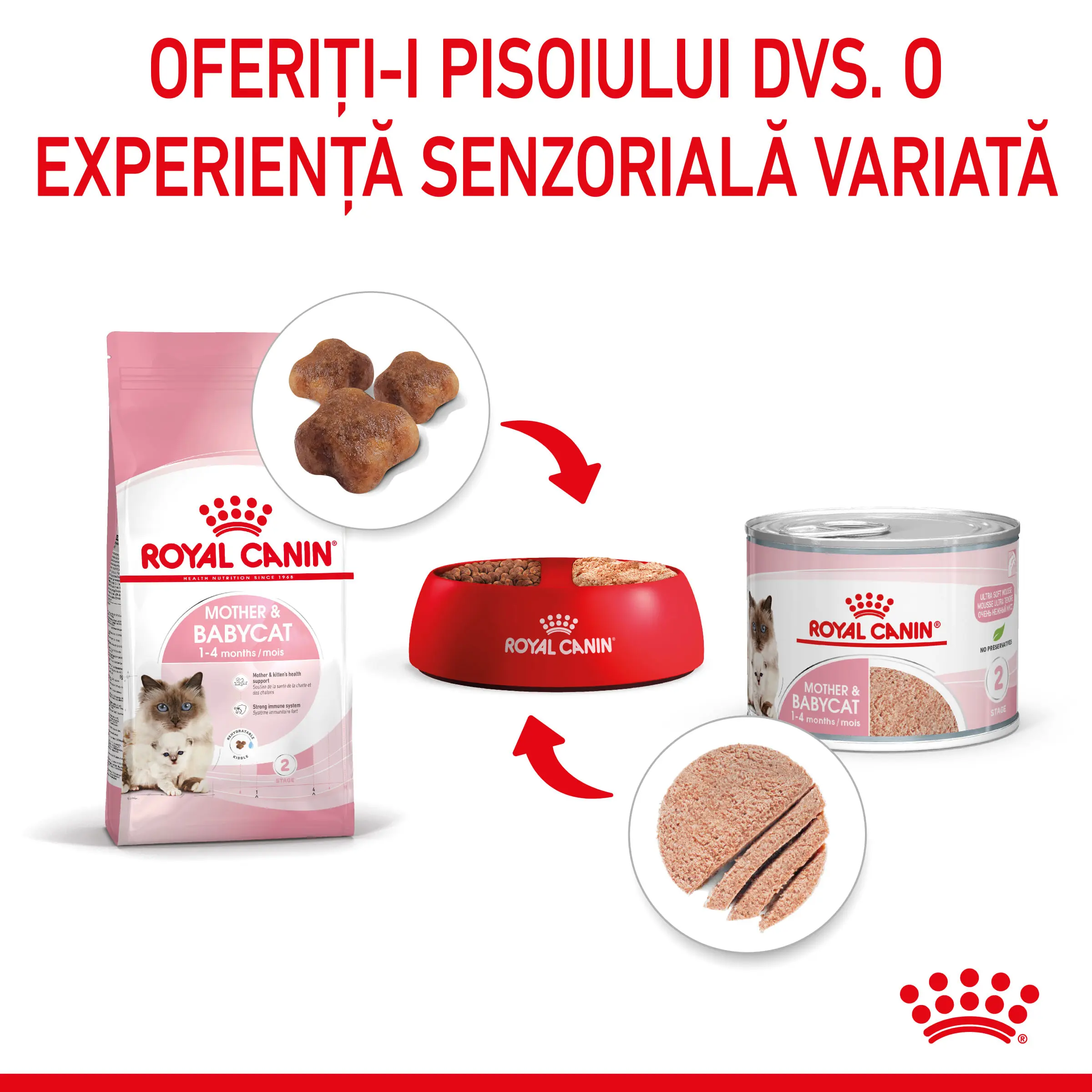 ROYAL CANIN Mother & BabyCat, hrana umeda pisici, mama si puiul, (mousse), 195g - Image 9