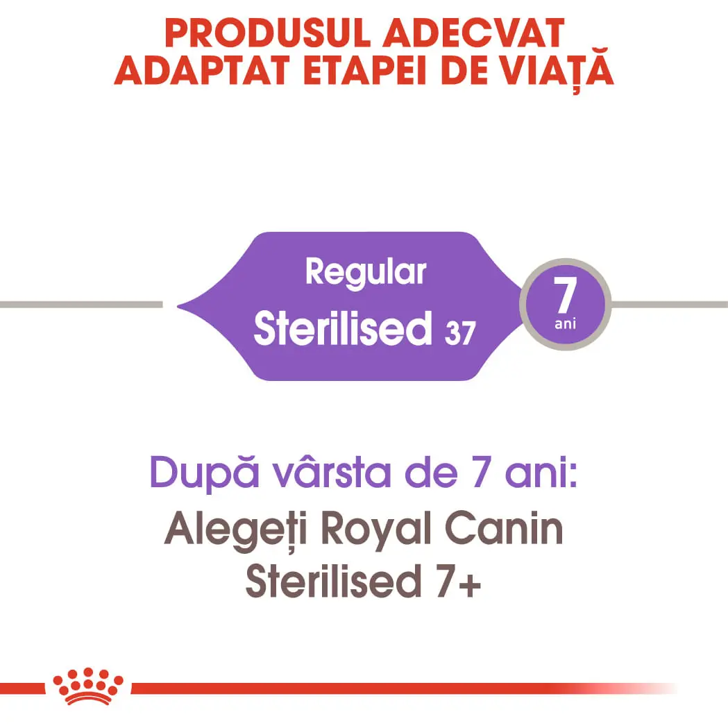 ROYAL CANIN Sterilised Adult, hrana uscata pisici sterilizate, 400g - Image 9
