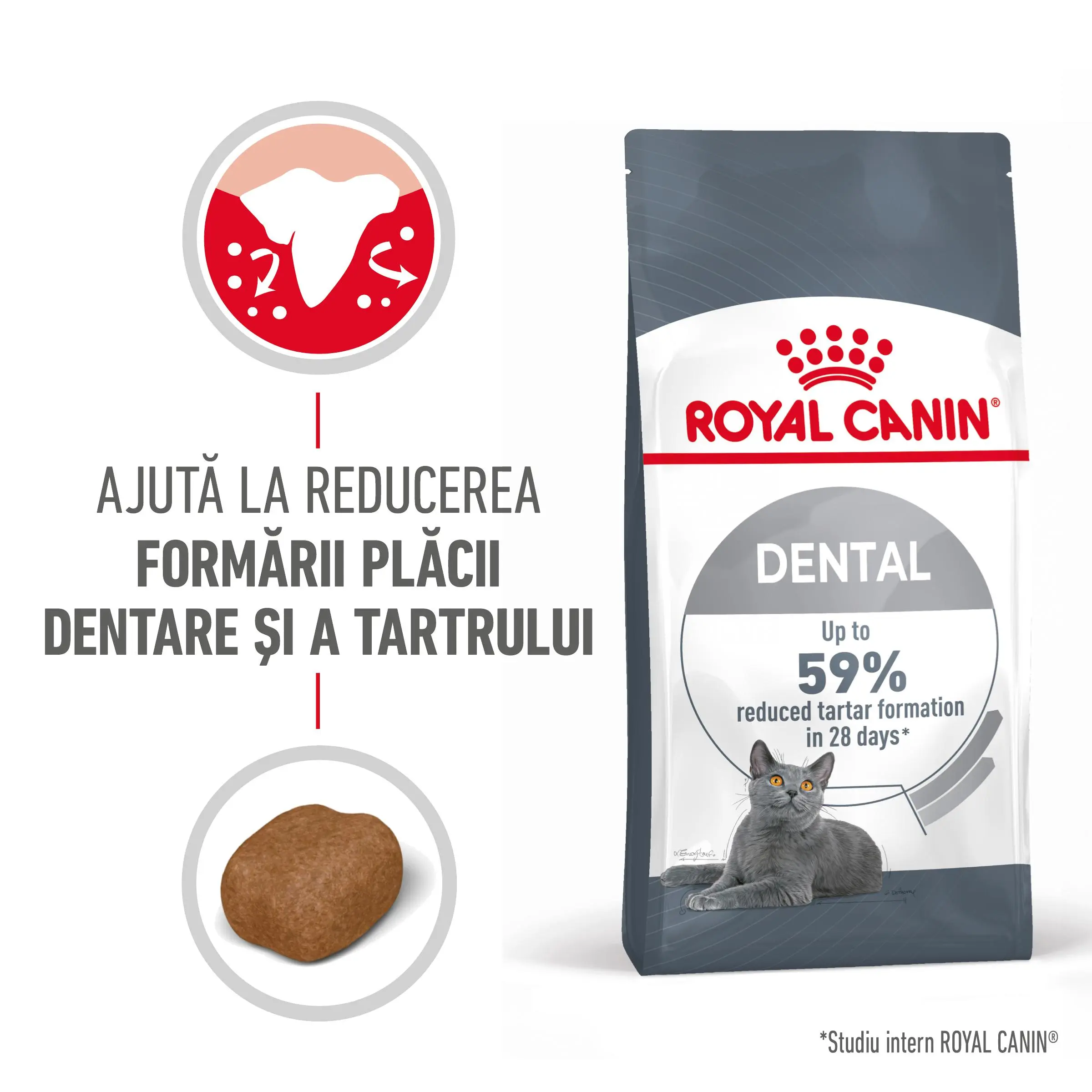 ROYAL CANIN Dental Care Adult, hrana uscata pisici, reducerea formarii tartrului, 8kg - Image 2