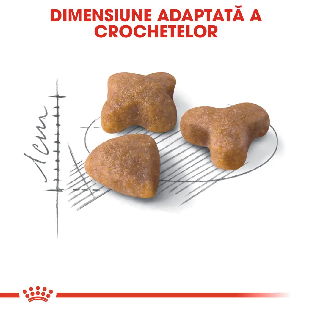 ROYAL CANIN Sensible Adult, hrana uscata pisici, digestie optima, 2kg - Image 5