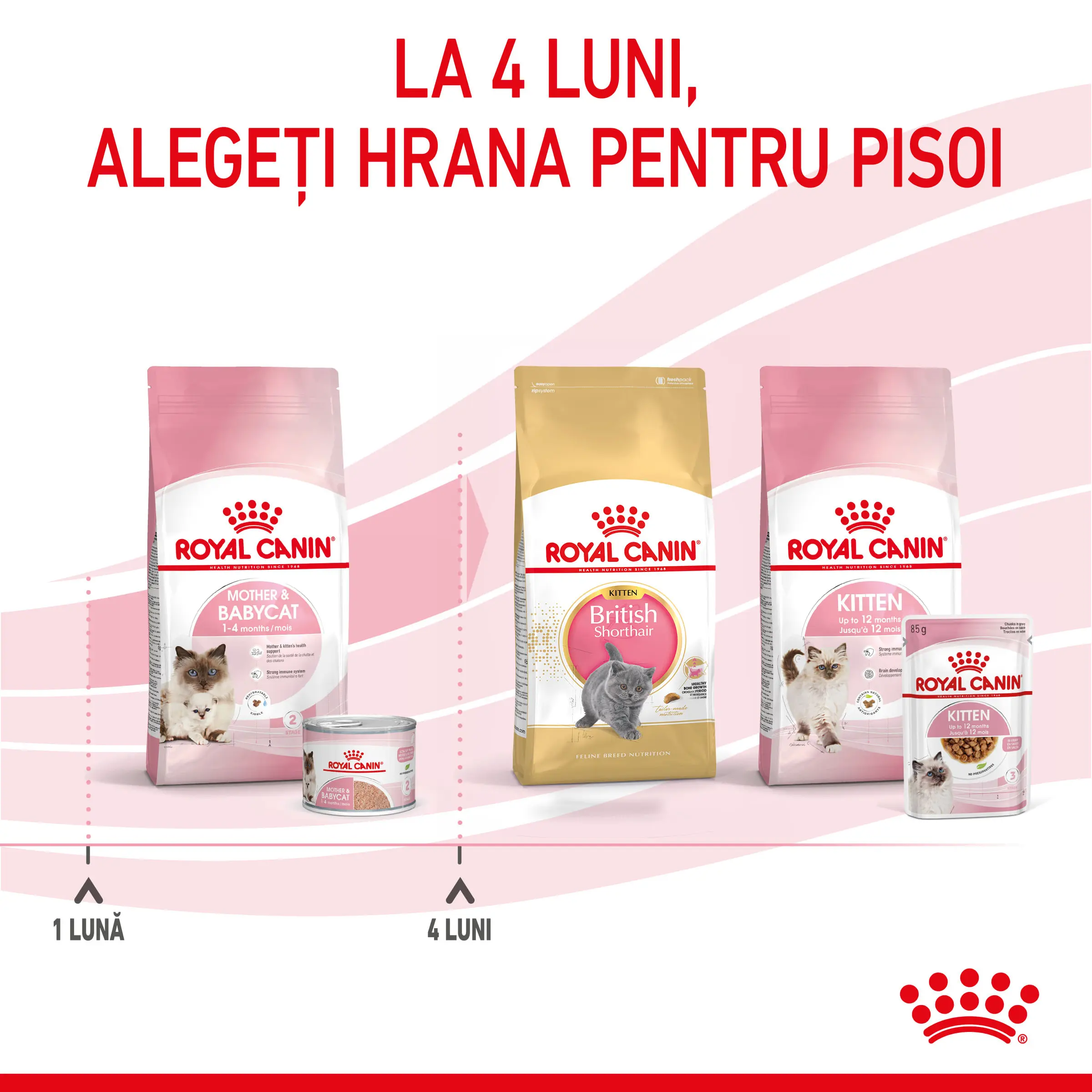 ROYAL CANIN Mother & BabyCat, hrana umeda pisici, mama si puiul, (mousse), 195g - Image 10