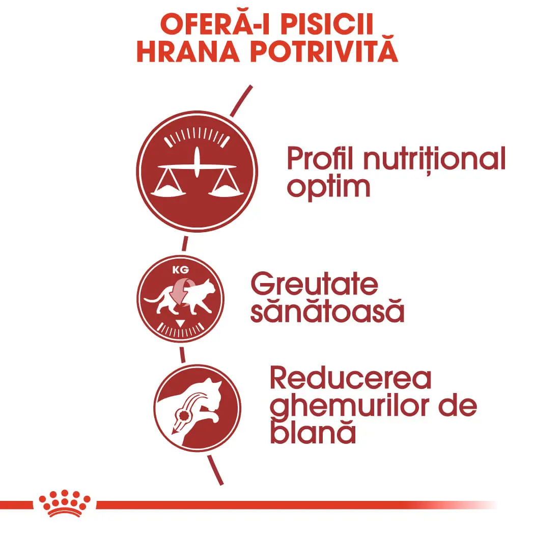 ROYAL CANIN Fit32 Adult, hrana uscata pisici, activitate fizica moderata, 2kg - Image 4