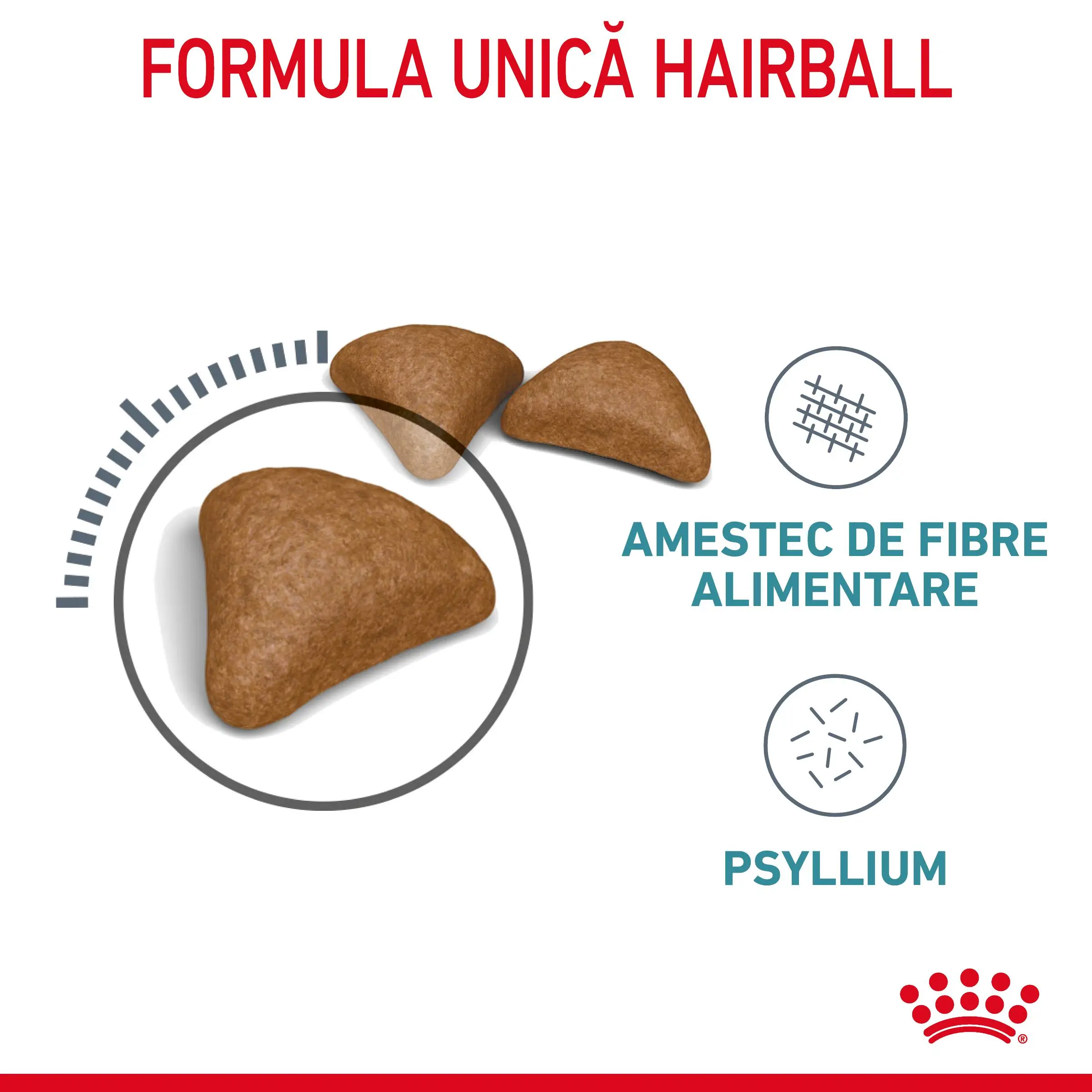 ROYAL CANIN Hairball Care Adult, hrana uscata pisici, limitarea ghemurilor de blana, 2kg - Image 4