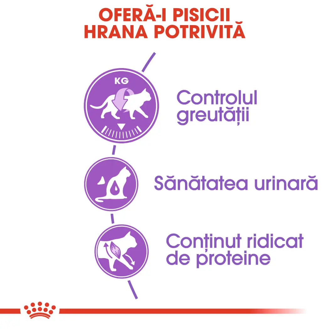 ROYAL CANIN Sterilised Adult, hrana uscata pisici sterilizate, 2kg - Image 4